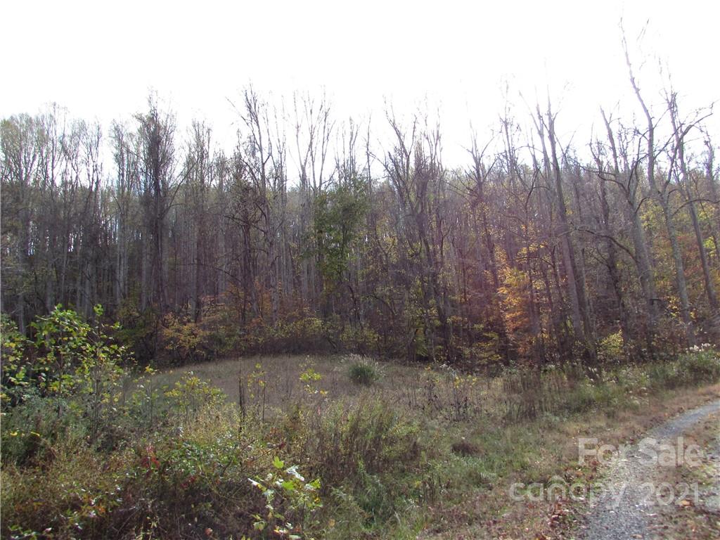 Red Wolf Run - Land