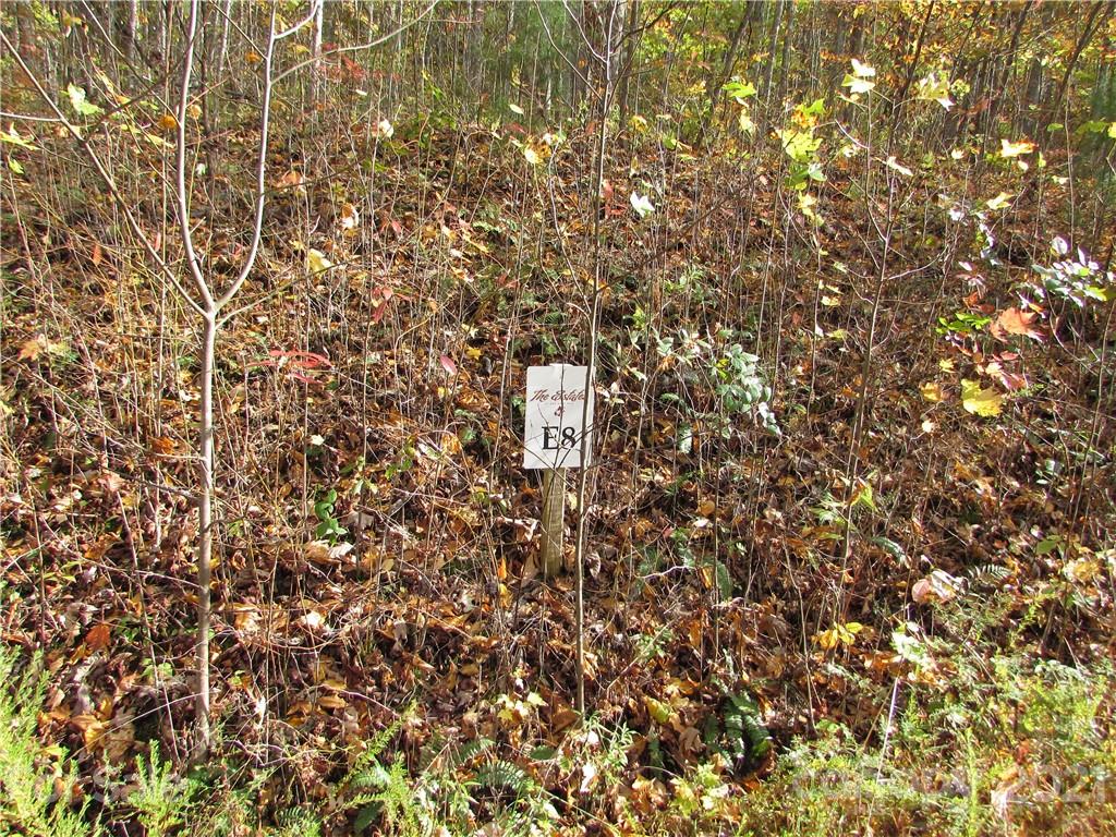 Red Wolf Run - Land