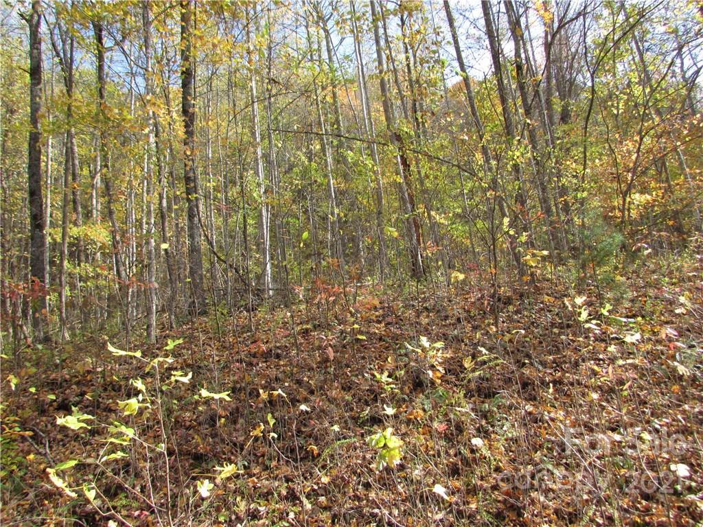 Red Wolf Run - Land