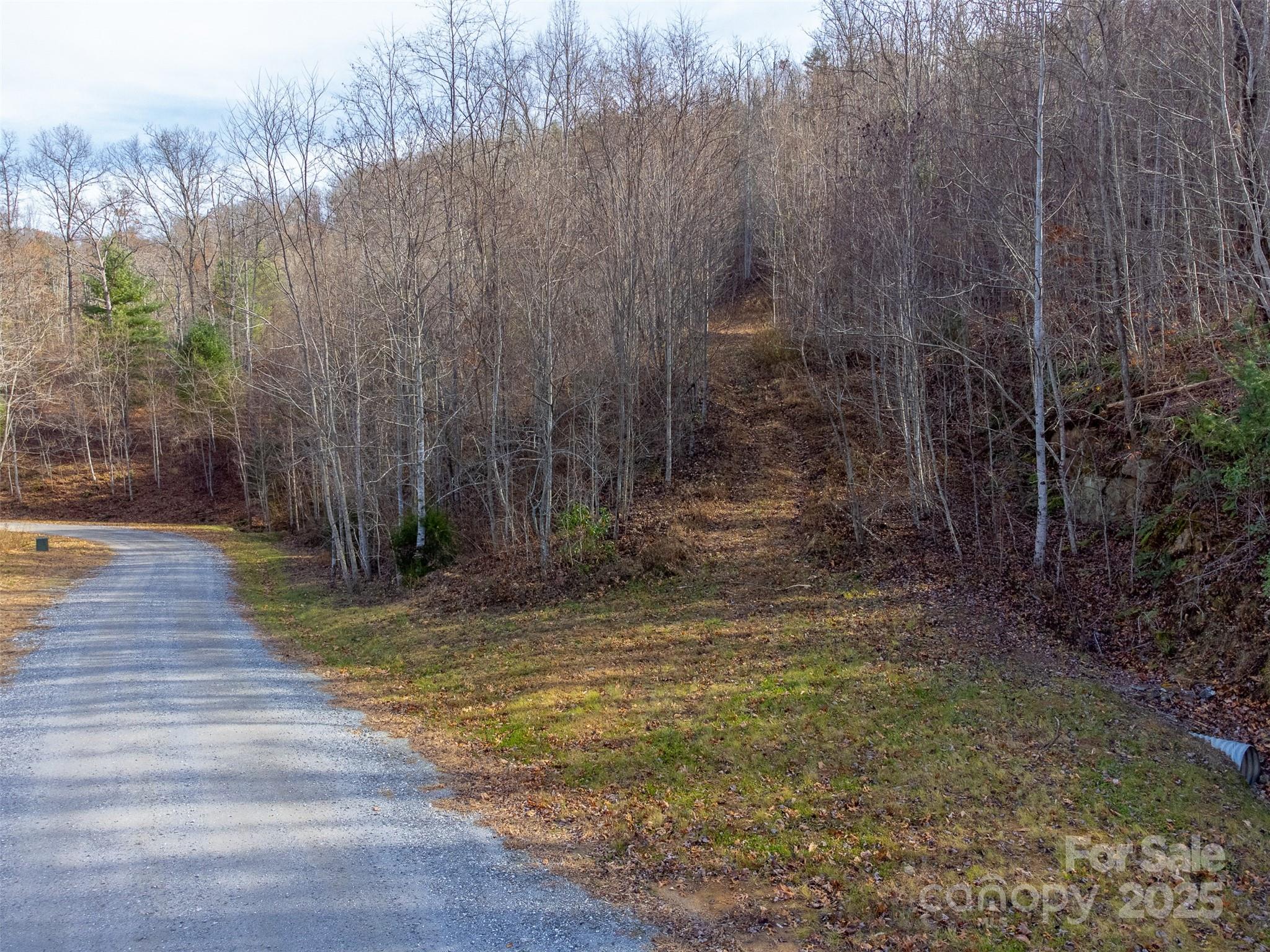 Garnet Ridge Preserve - Land