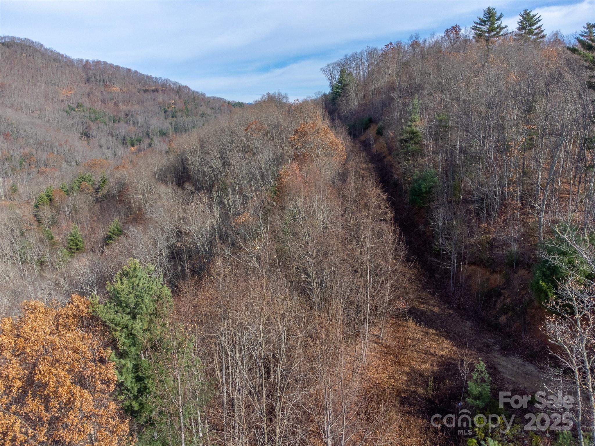 Garnet Ridge Preserve - Land