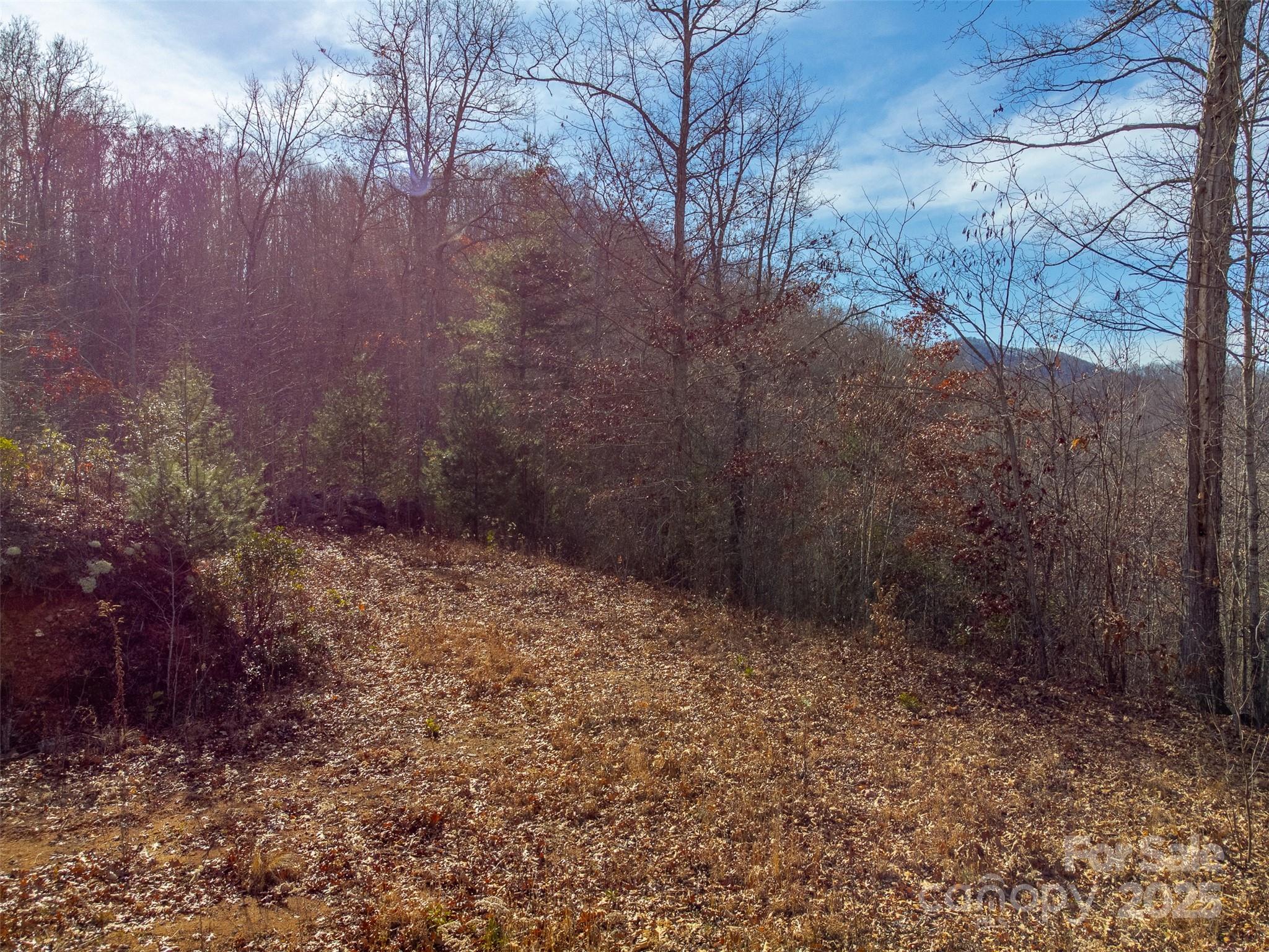 Discover an exceptional opportunity inside Garnet Ridge Preserve, a private, gated subdivision in the mountains of Sylva, NC. This rare 16+ acre parcel offers the ideal setting for those seeking a private mountain estate, multi-family compound, or potential subdevelopment within one of Western North Carolina’s most desirable communities. Featuring paved roads, underground utilities, and access to a stunning lodge-style clubhouse, Garnet Ridge Preserve offers privacy, luxury, and convenience. Bordering over 2,700 acres of U.S. Forest Service land, this property provides unmatched seclusion, protected long-term views, and direct access to an expansive natural playground. Whether you envision a private retreat surrounded by nature or multiple homesites for investment, this land delivers endless possibilities. Perfectly positioned between downtown Sylva and Franklin, residents enjoy quick access to the region’s best hiking, mountain biking, fly fishing, and pristine mountain lakes. With its combination of acreage, privacy, gated security, and proximity to outdoor adventures, this property stands out as one of the most versatile and desirable land offerings in the Smoky Mountains.