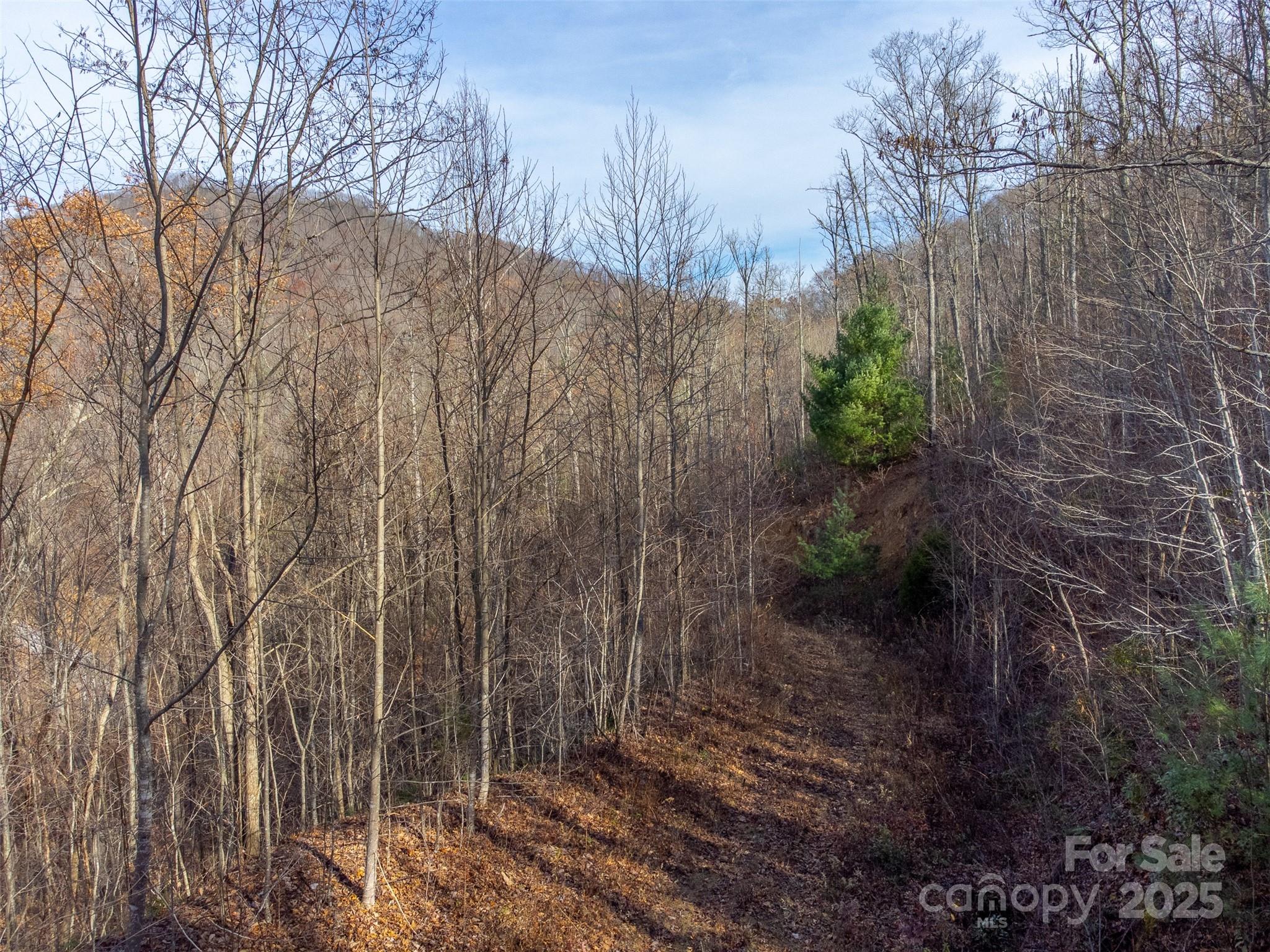 Garnet Ridge Preserve - Land
