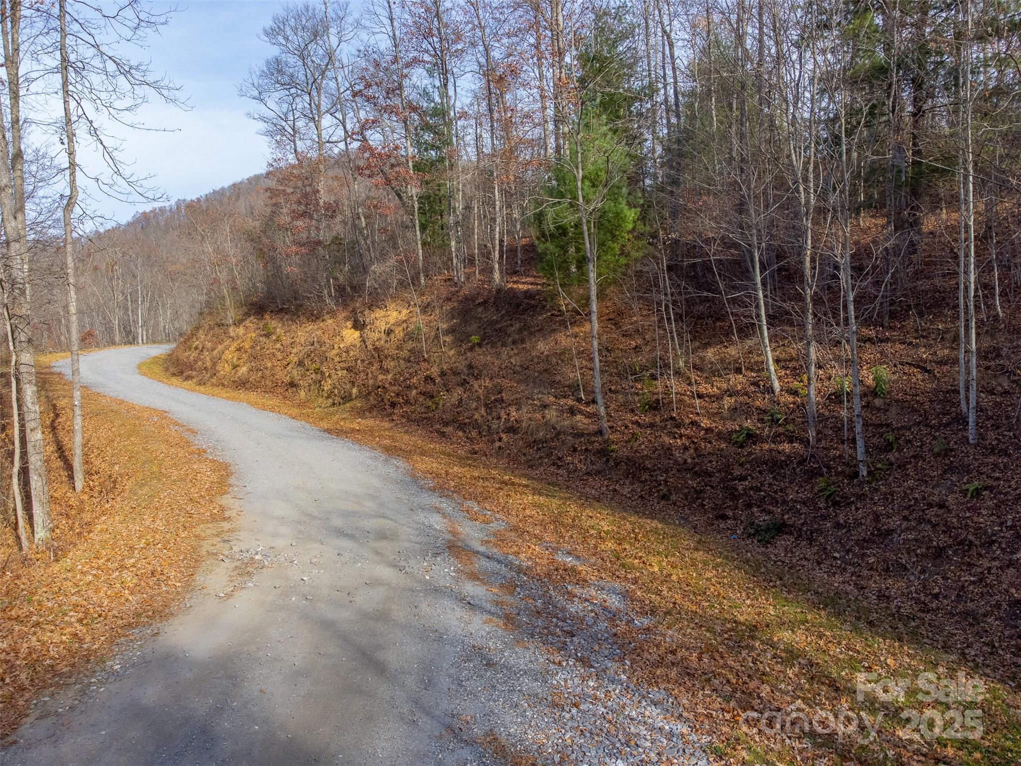 Garnet Ridge Preserve - Land