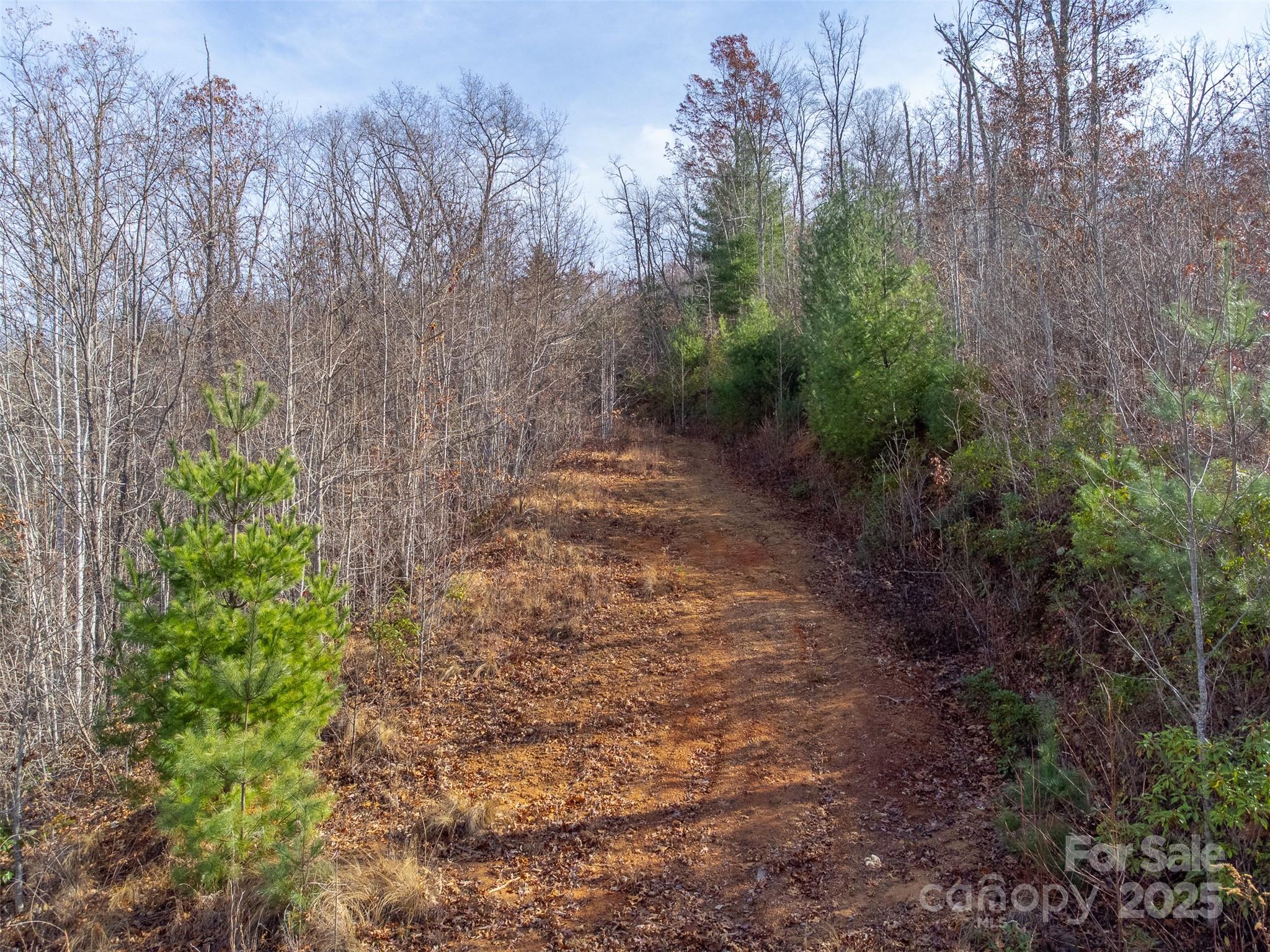 Garnet Ridge Preserve - Land