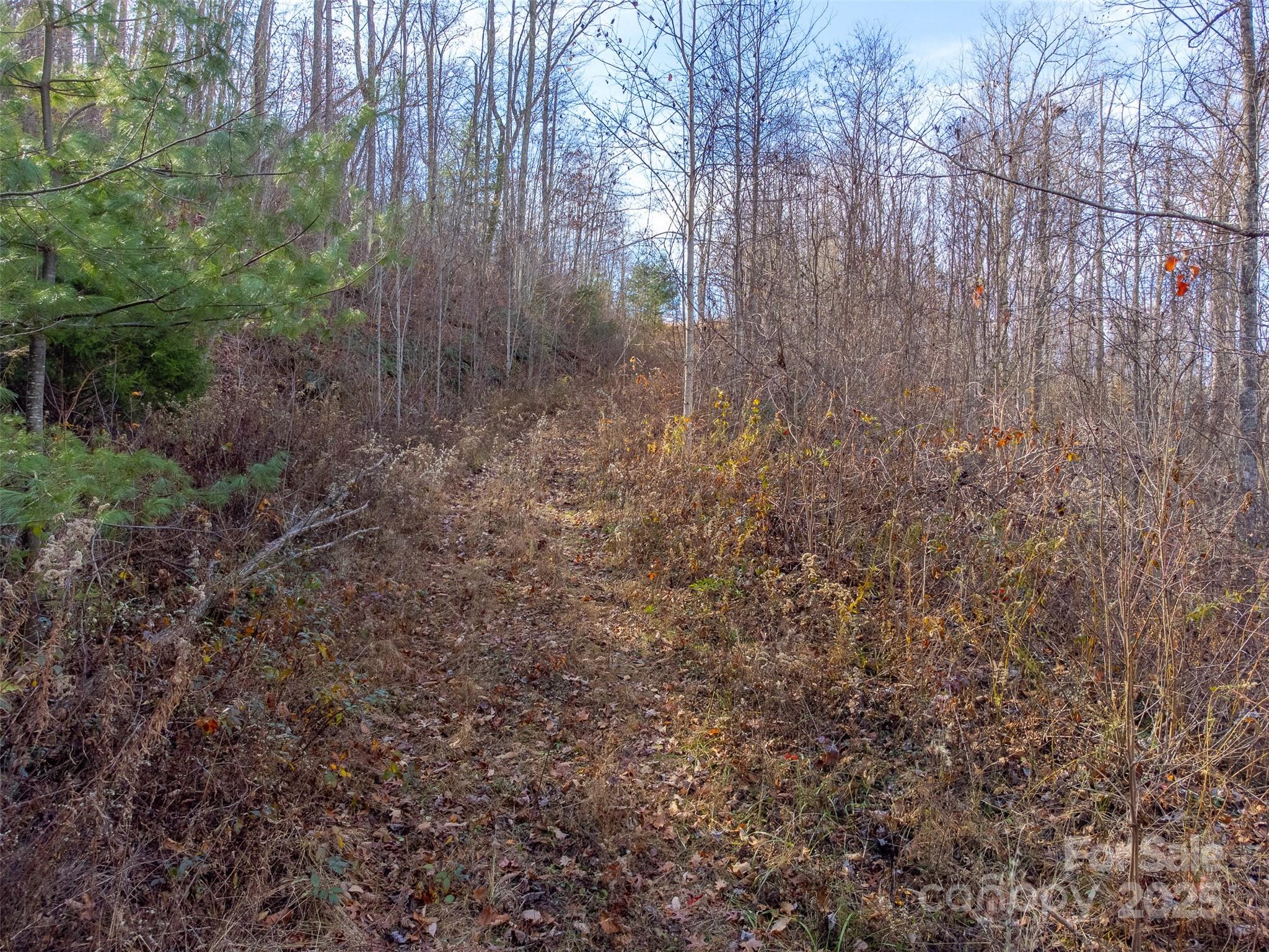 Garnet Ridge Preserve - Land