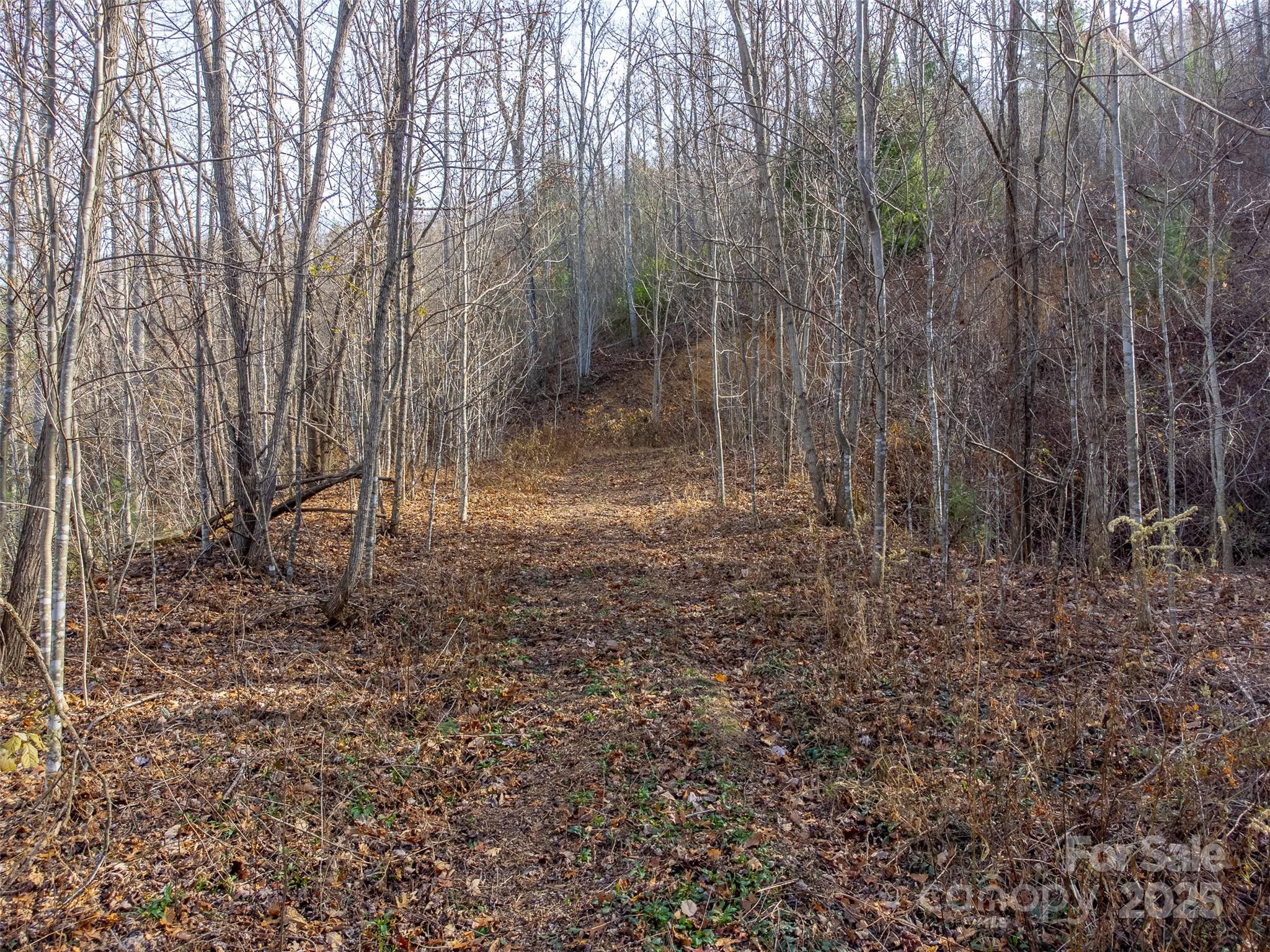 Garnet Ridge Preserve - Land
