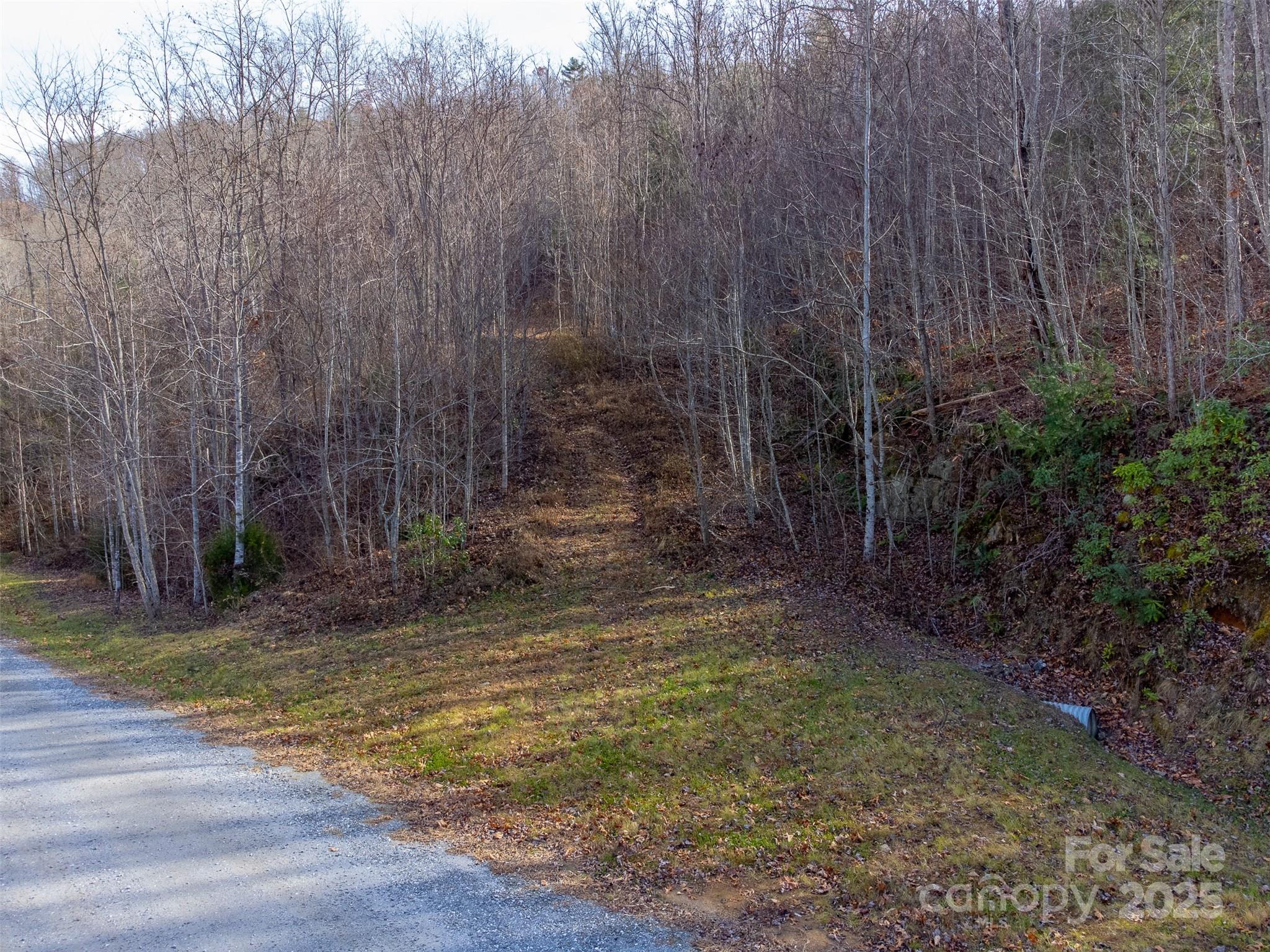 Garnet Ridge Preserve - Land