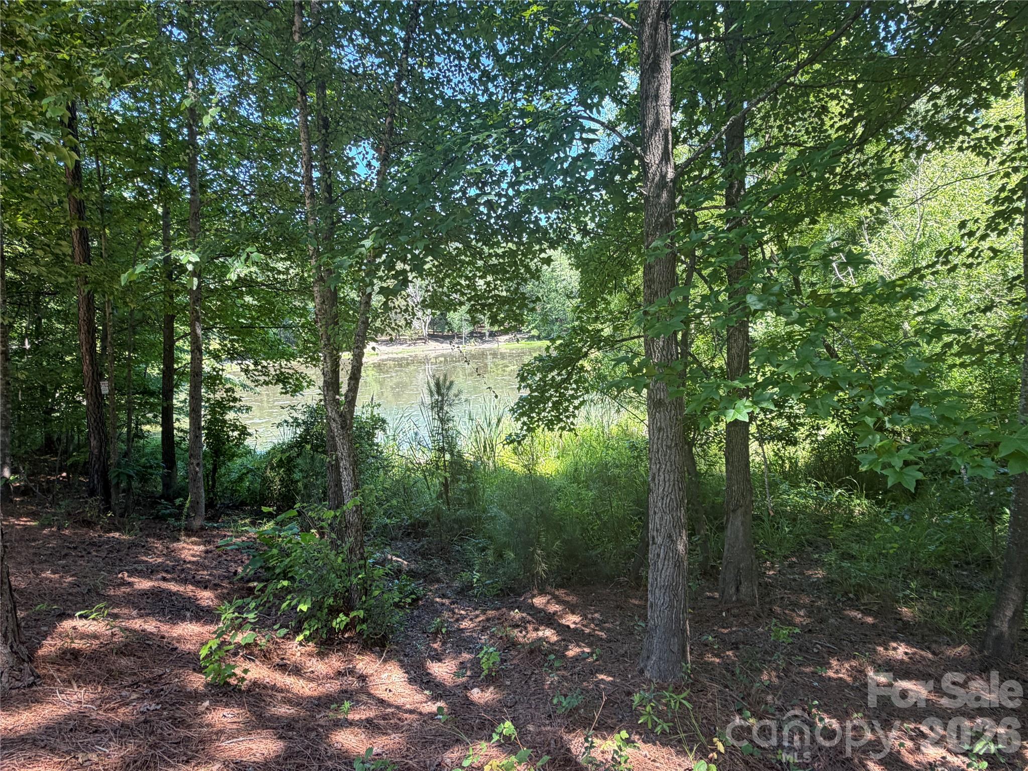 Eagle Creek - Residential