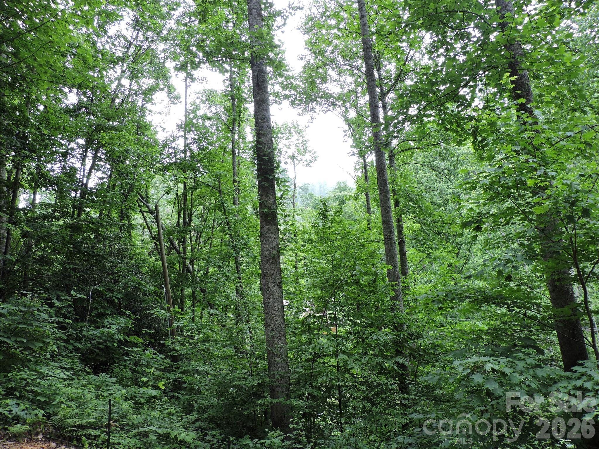 Shoot Out Mountain - Residential
