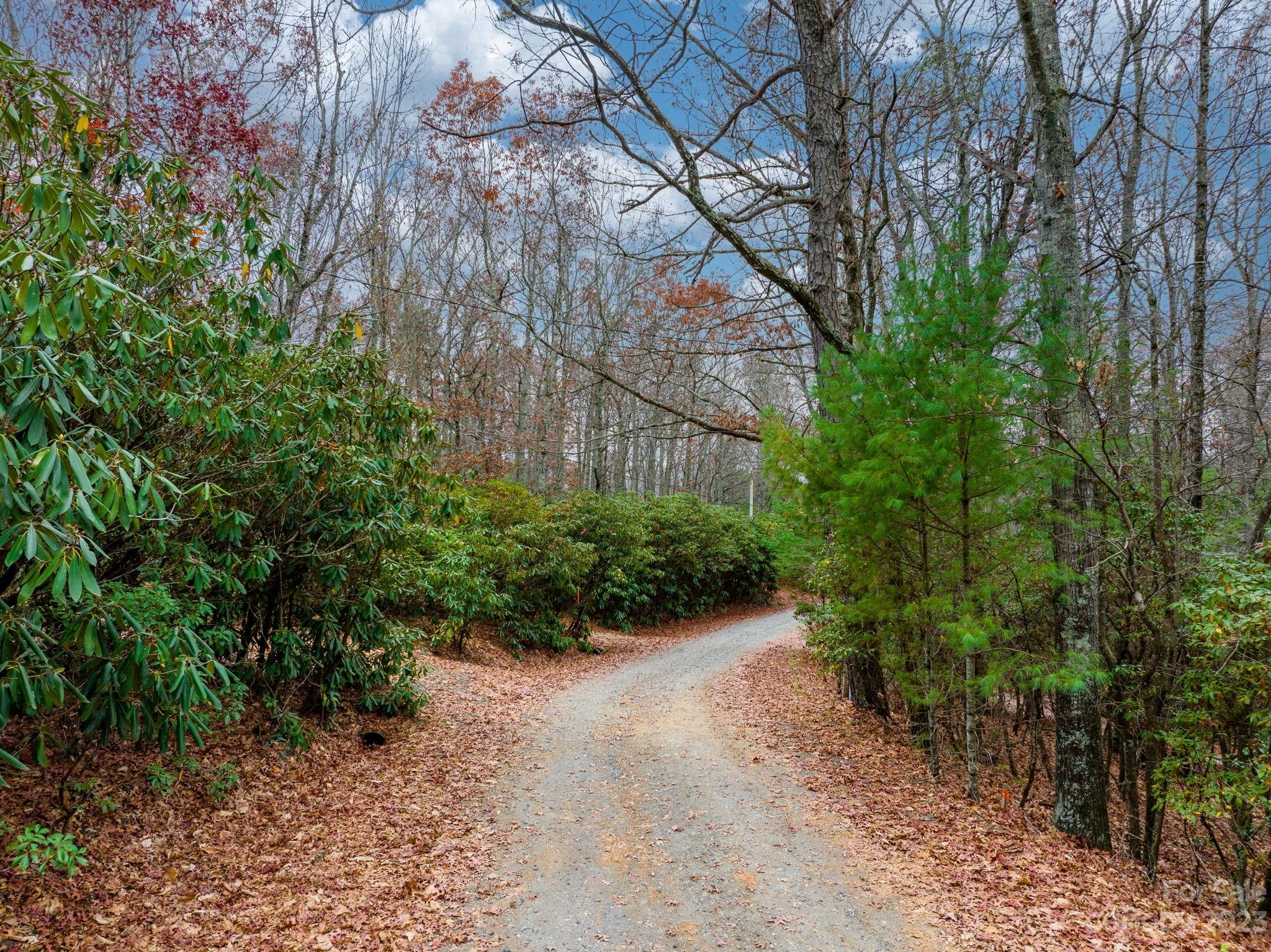 Bear Den Acres - Land