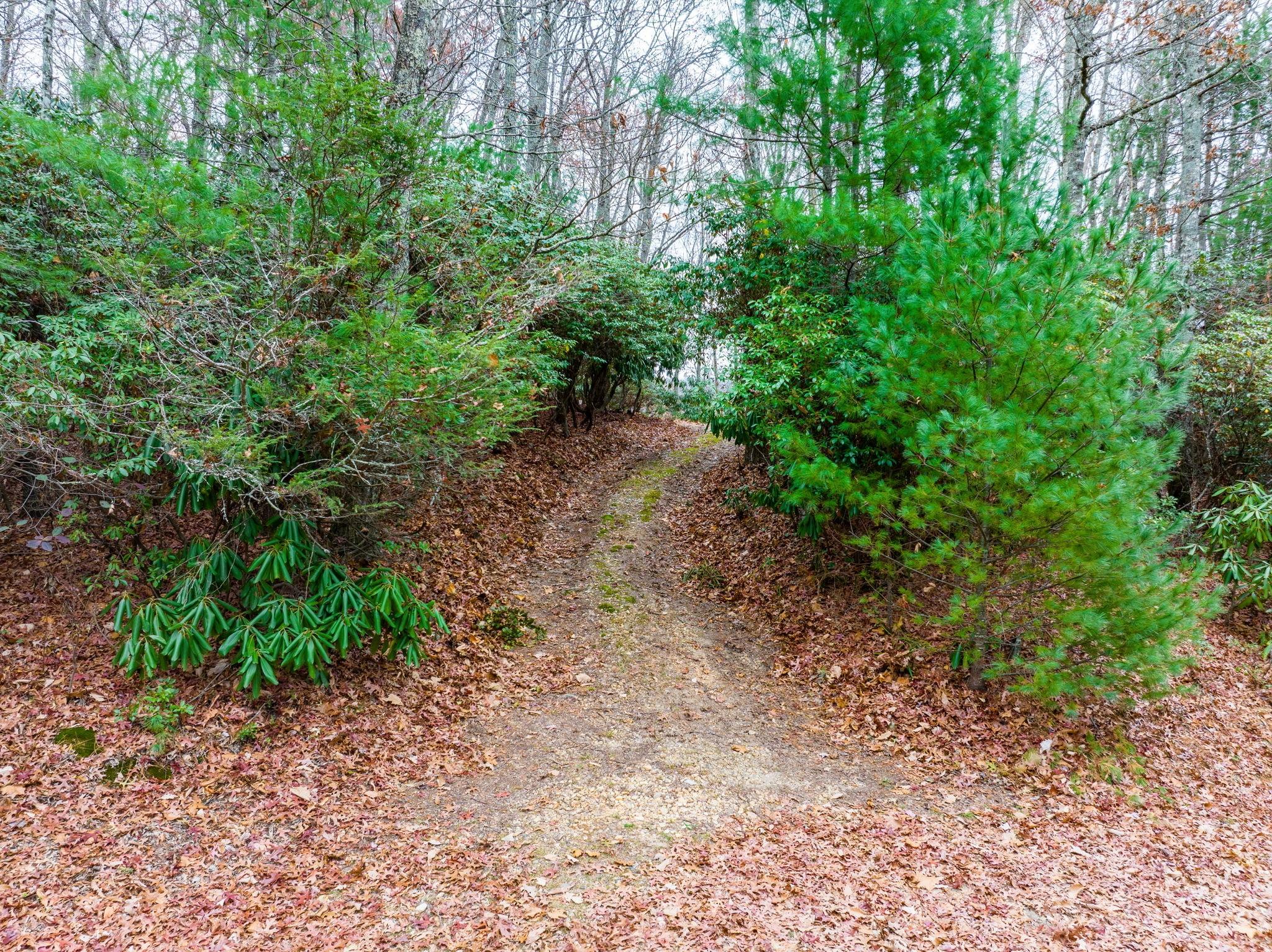 Bear Den Acres - Land