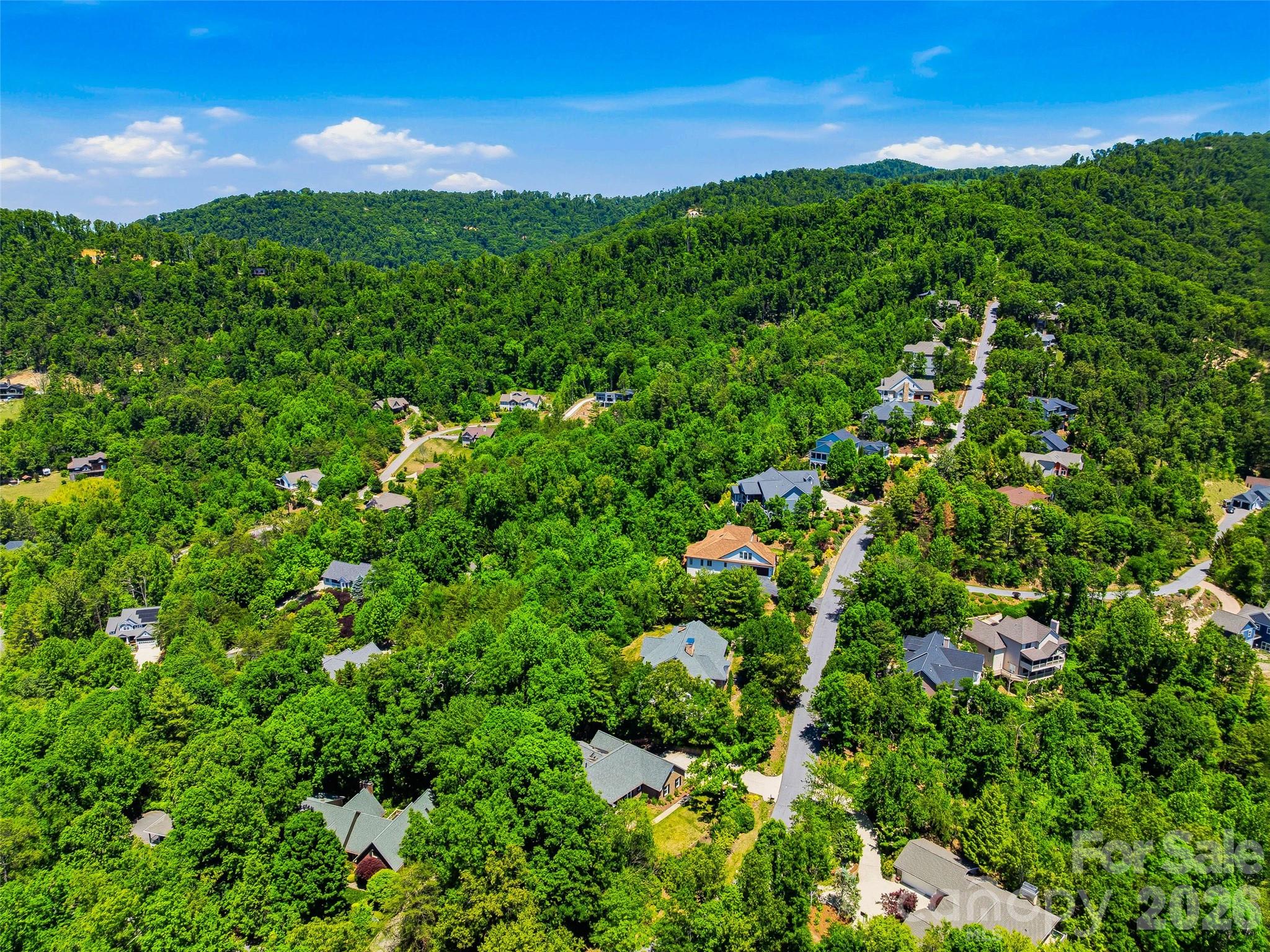 Reems Creek Golf Community - Residential