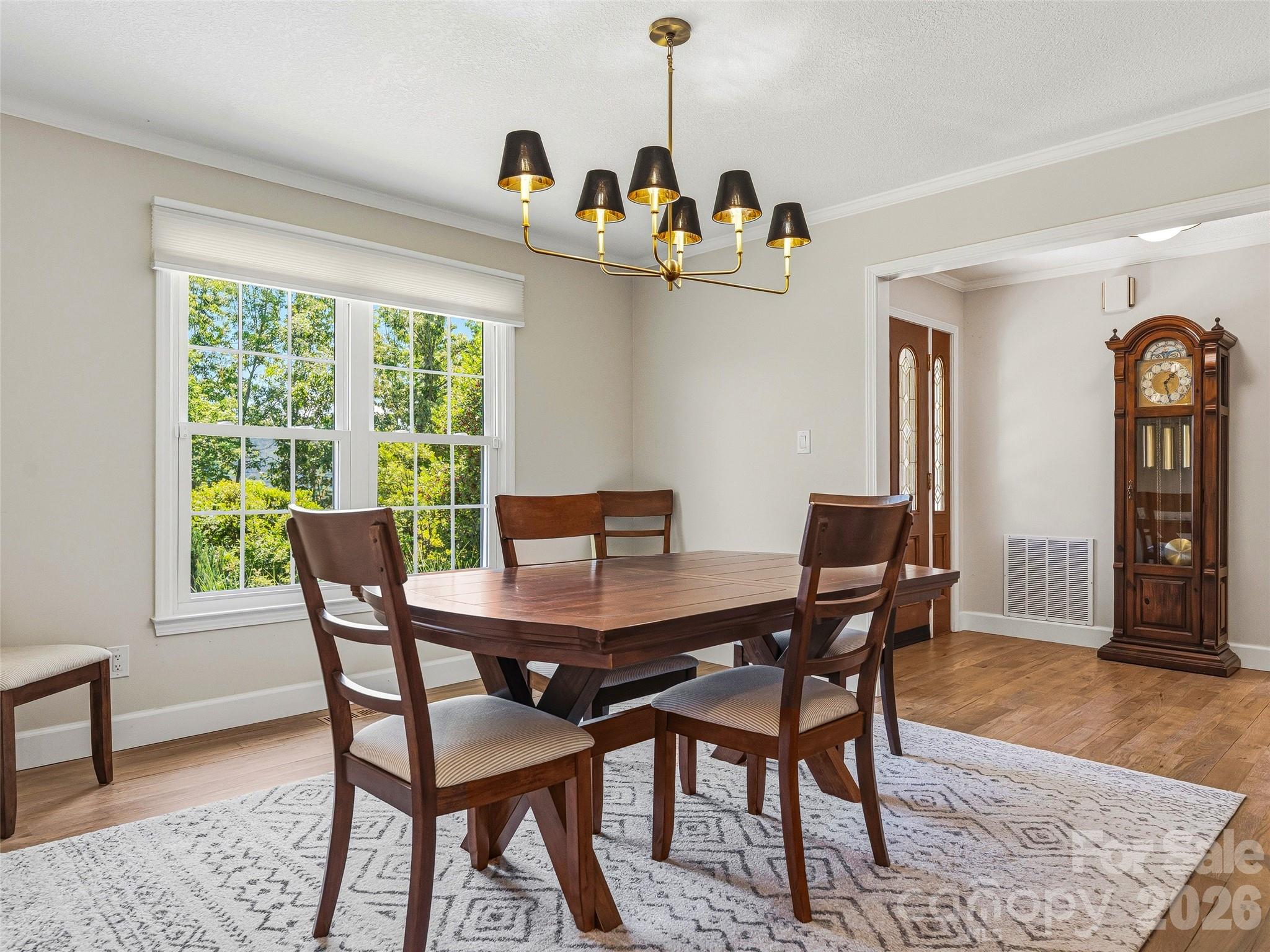 Reems Creek Golf Community - Residential