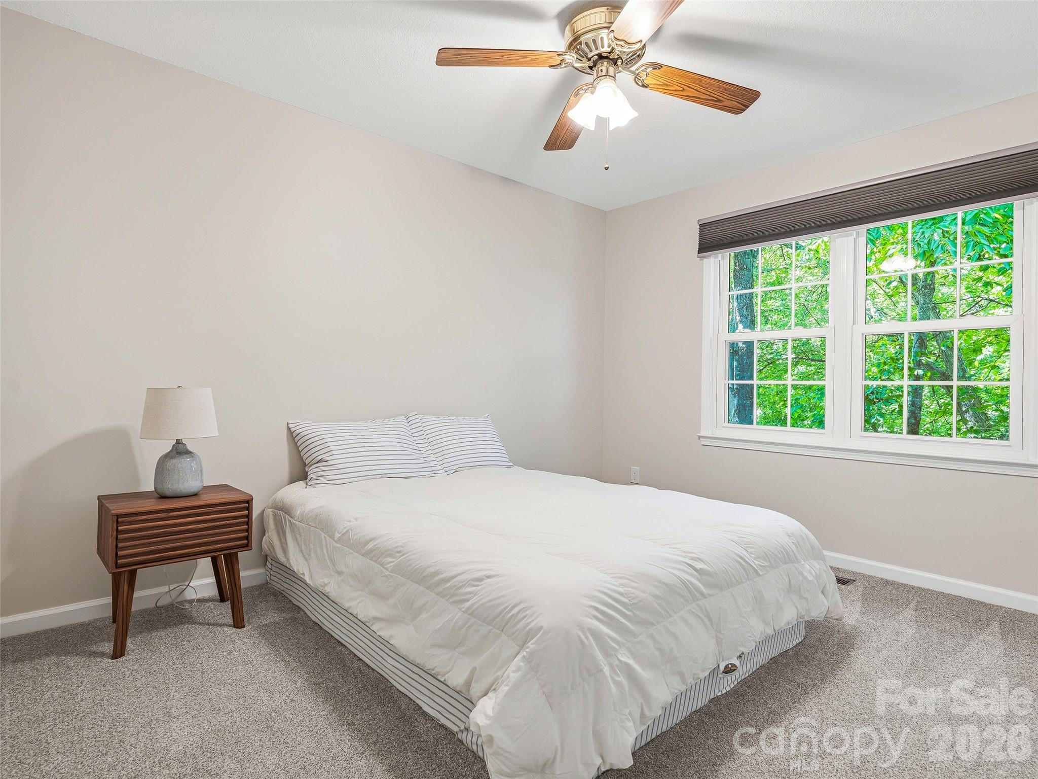 Reems Creek Golf Community - Residential
