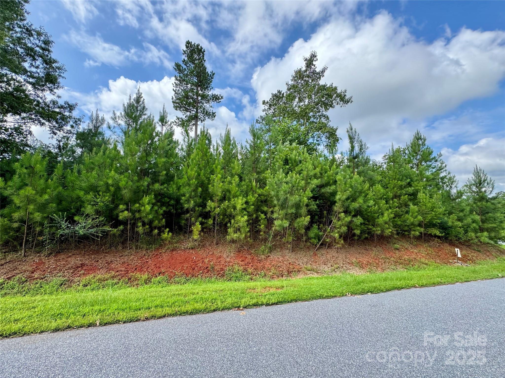 Beautiful, mostly level home site with long-range views at Lake Rhodhiss! It wouldn't take long to clear this corner lot as it is mostly underbrush and young trees.  Underground utilities allow for unobstructed views. Convenient to I-40 and 321.