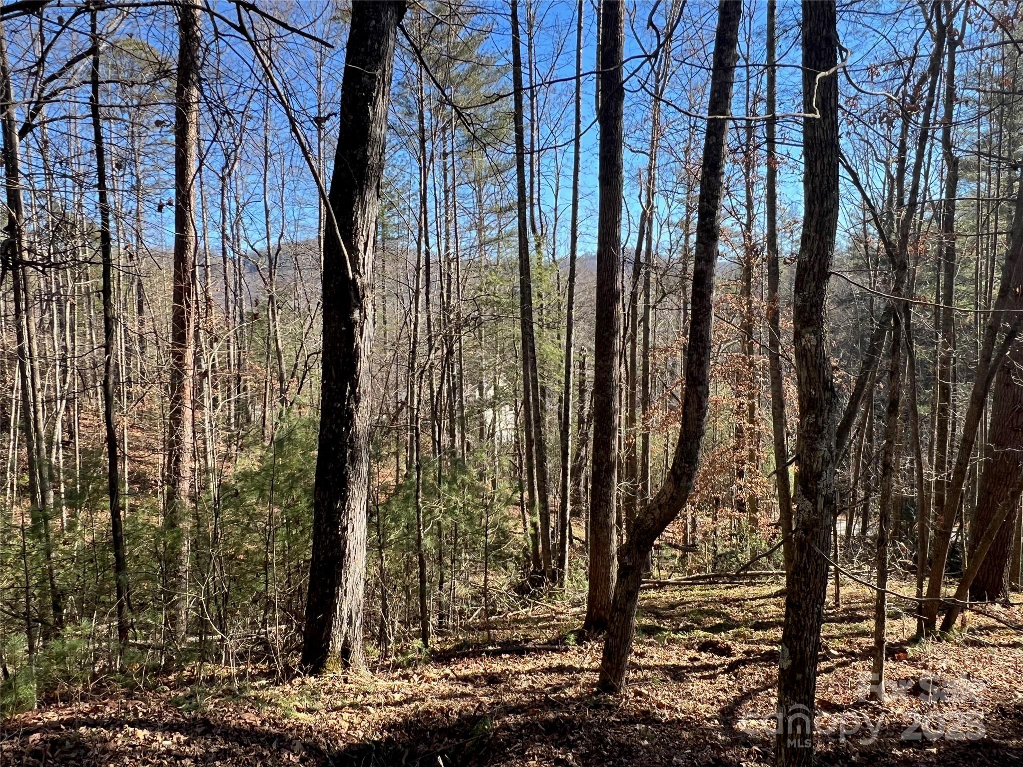 Old Orchard - Land