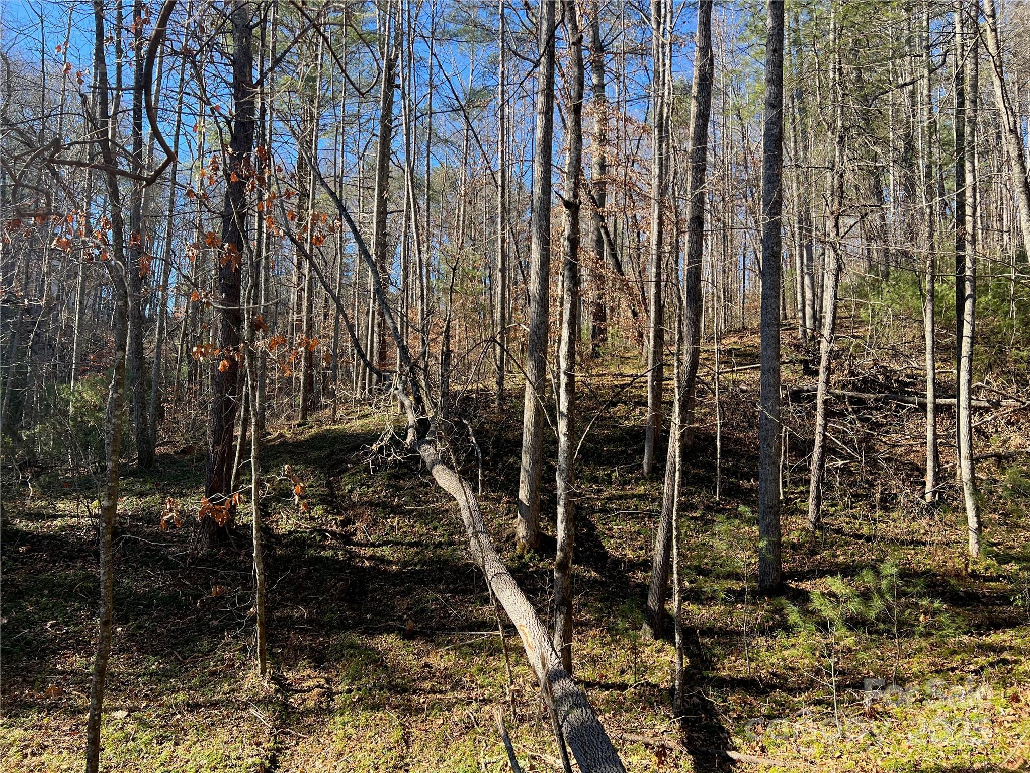 Old Orchard - Land