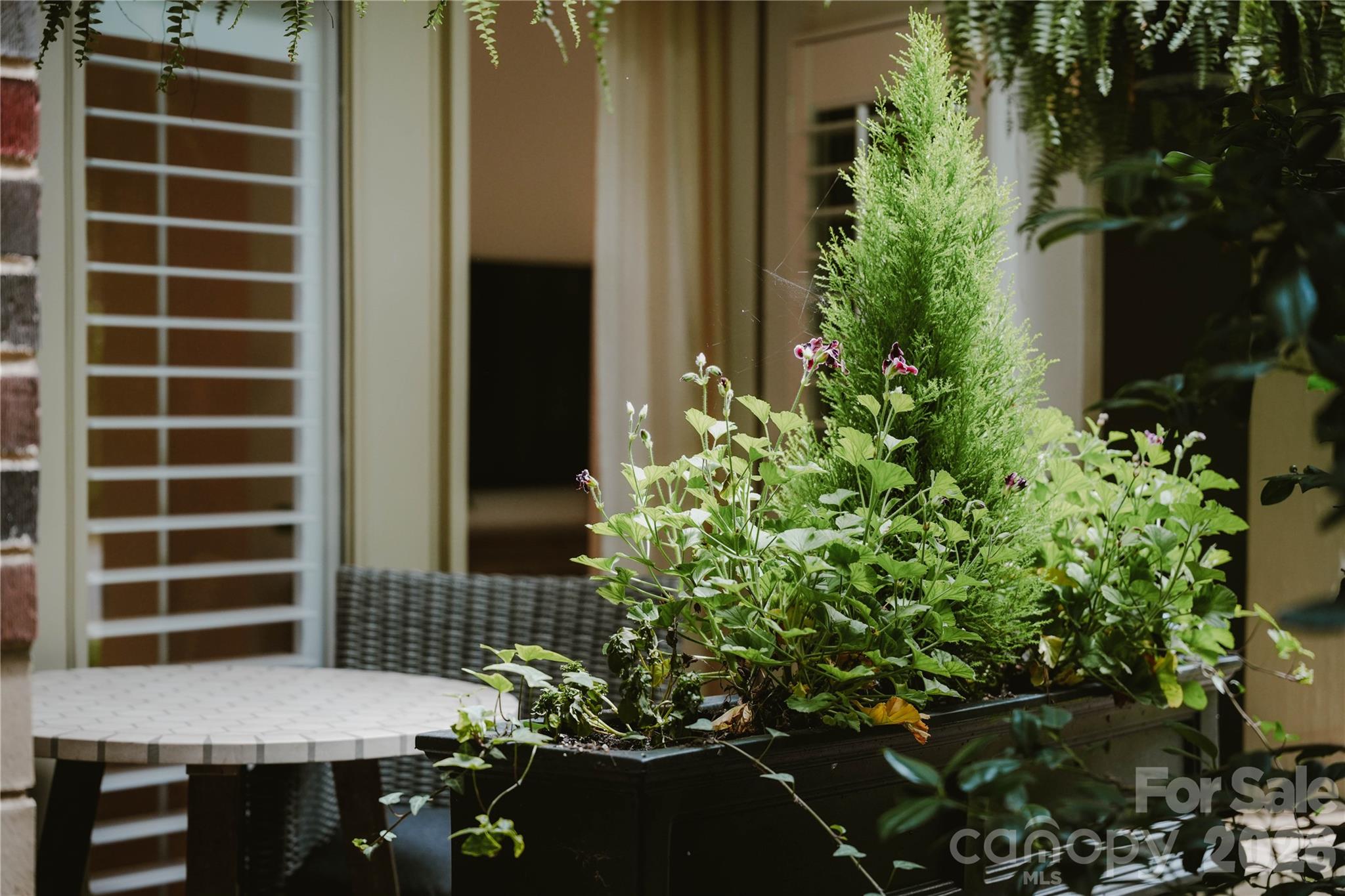 Selwyn Terrace - Residential
