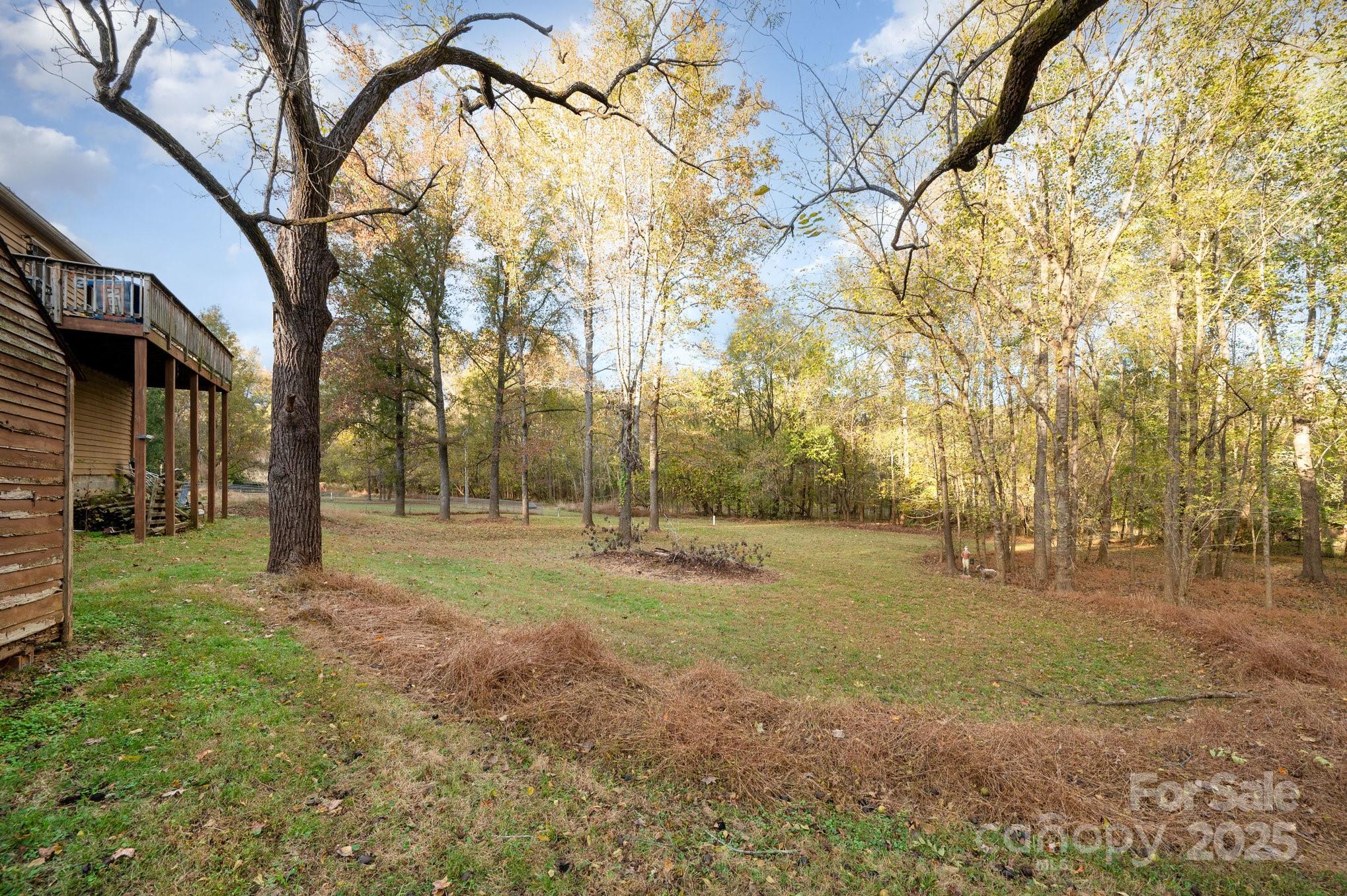 Timber Forest - Residential