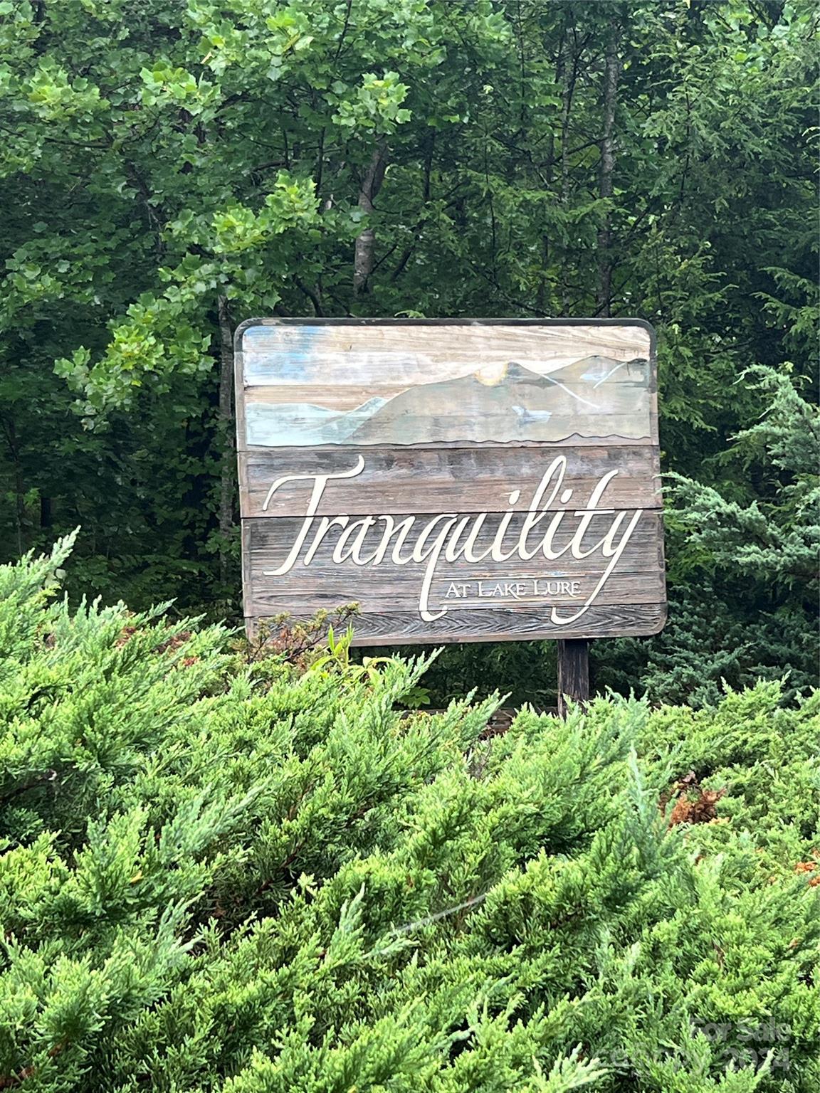 This is your chance to own over 6 very buildable acres in Lake Lure's highly desirable community of Tranquilty at Lake Lure. This private, gated community is situated very close to the lake and other amenities such as restaurants.The portion of the property with frontage is perfect for a driveway to take you back into the trees where you will see several flat areas that will work for building sites. A natural ravine on the property gives you a natural privacy buffer with the home on the left. When standing at the road facing the property, walk down the path past the large tree on your right and utility boxes/poles. Go down the slight grade and you will see the flat buildable spots on the right. Paved roads and underground utilities make this largest lot in the neighborhood very attractive! Beautiful hardwood trees abound on this 6.25 acres. Low HOA fees of $400/year.