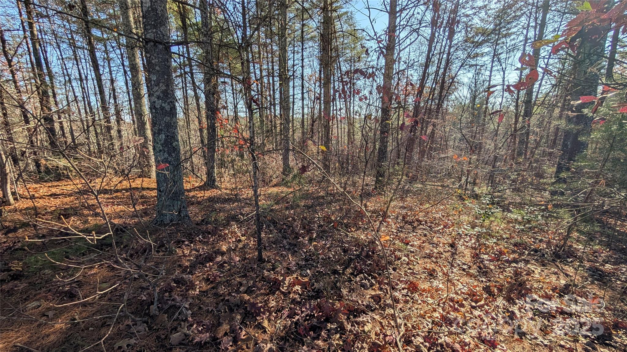 Old Oaks Estates - Land