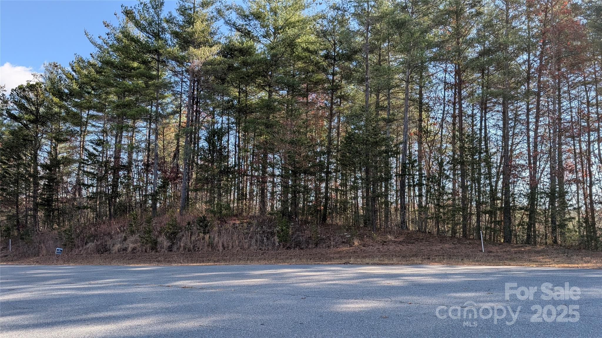 Welcome to your private nine-acre sanctuary within the prestigious Old Oaks Estates! This exceptional 9.08-acre parcel offers the rare combination of supreme privacy and secure, upscale community living. Accessed via a beautifully paved private road through the community's gated entrance, this land provides a perfect, gentle slope ideal for building your custom estate. The maturely wooded acreage ensures ultimate seclusion. This is the blank canvas for the discerning buyer who desires space, exclusivity, and nature. A well and septic system will be needed, offering you complete flexibility in designing your dream residence. Don't just buy a lot, secure your private retreat.