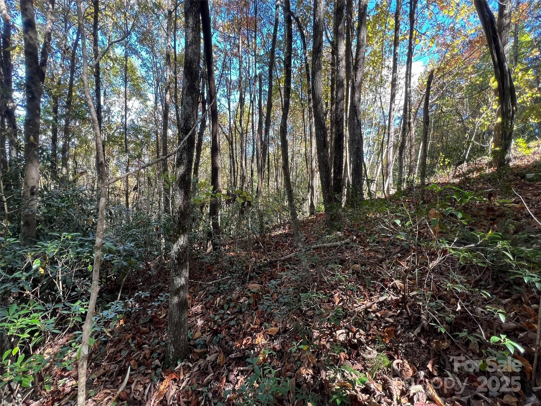 Cliffs Valley North - Land