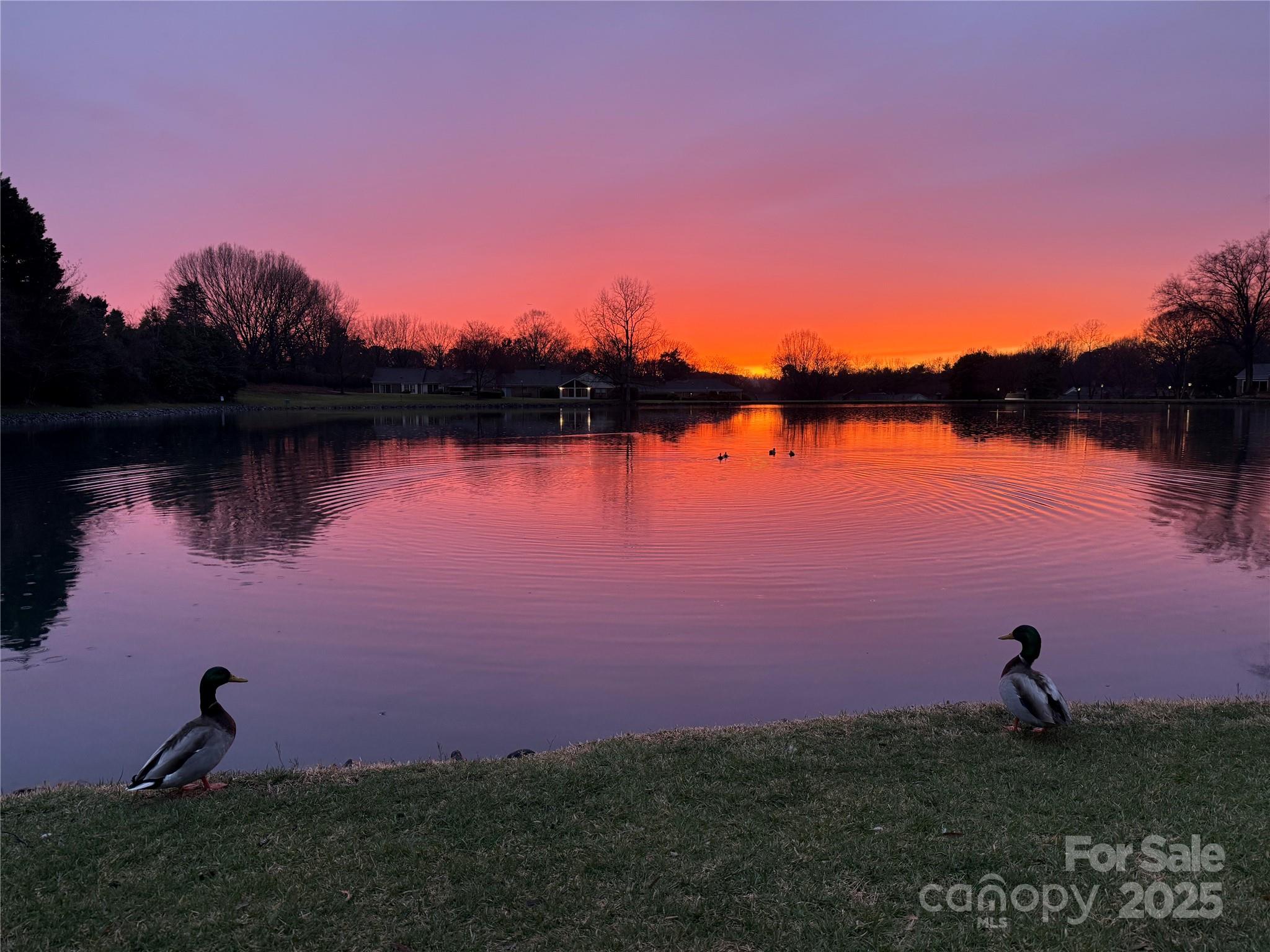 Quail Hollow Estates - Residential