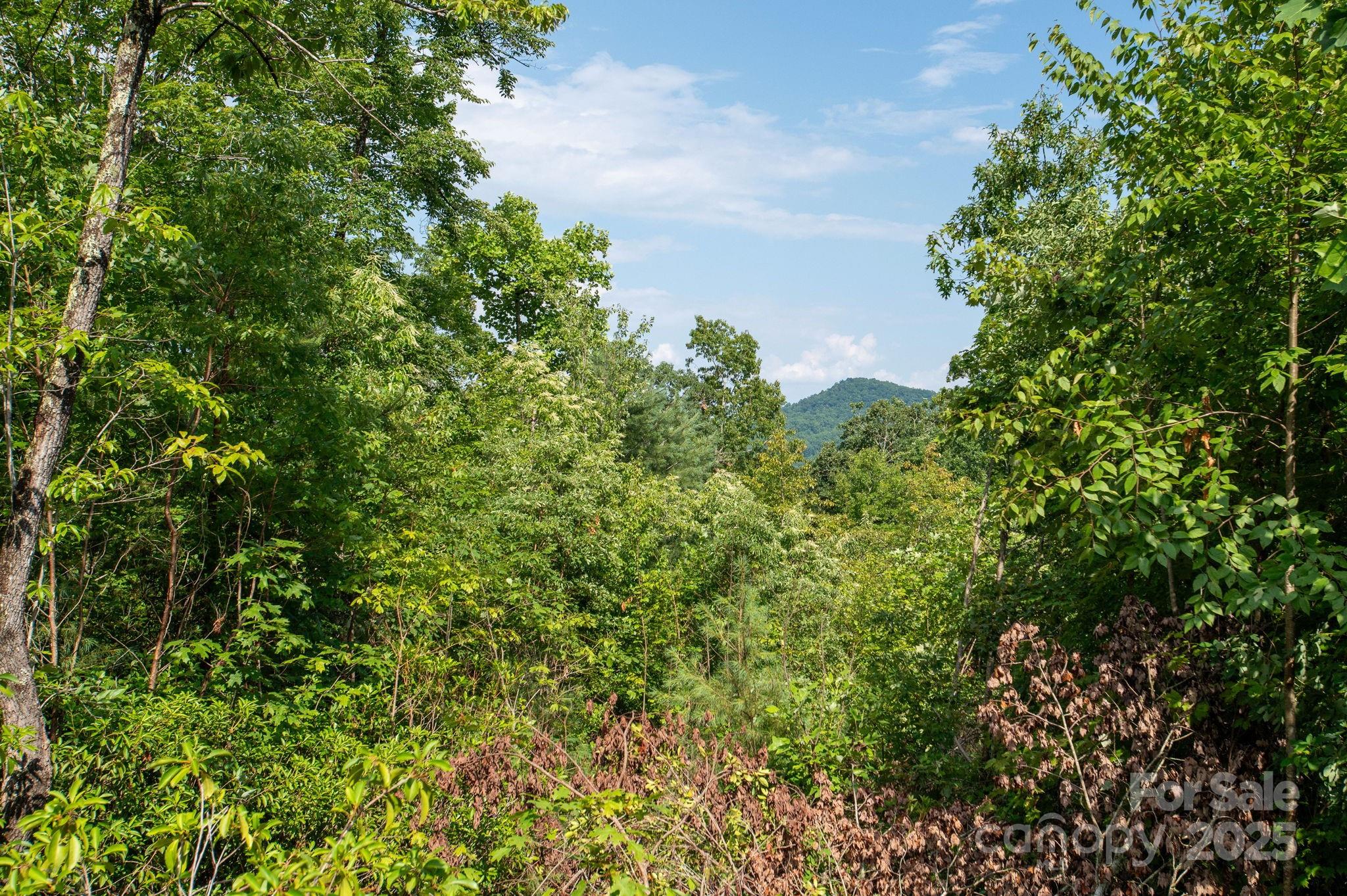 Masterpiece Ridge - Land