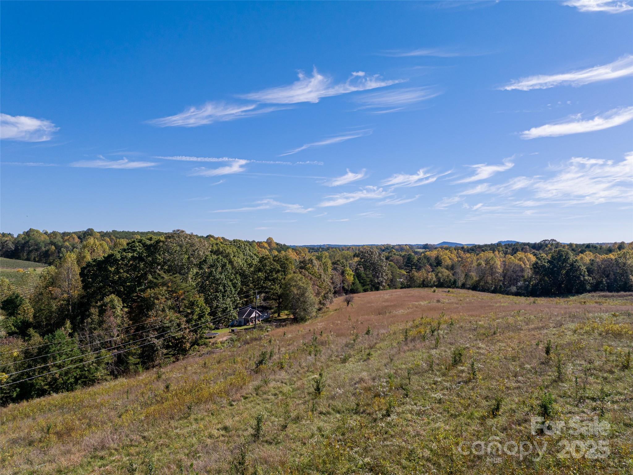 Tryon Equestrian Farms - Land