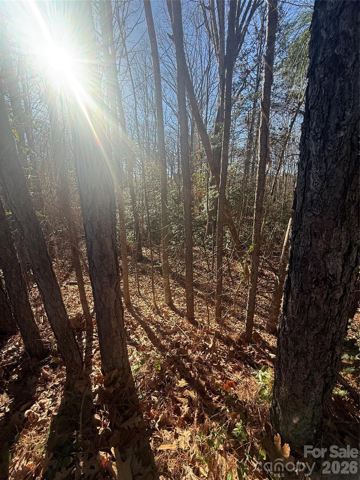 Opportunity is wide open on this 6.9-acre tract in the desirable Ellendale Community of Alexander County! Dual road frontage on both Liledoun Rd and Corner Store Rd gives you flexibility for access, building placement, and future potential. Zoned R2R (Residential District Two Rural), this land supports single-family homes, manufactured housing, and select rural commercial or light industrial uses. Plus, there are even more possibilities like solar available by special use permit through the county. Mature hardwoods cover the property, offering shade, privacy, and a natural building setting ready for your dream home or cabin. Just 8 minutes from town, you get the peace of the country without sacrificing convenience. An ideal pick for investors, builders, or anyone wanting room to spread out and put down roots. Bring the vision y'all because this one is full of potential!

* Buyer and buyer's agent are encouraged to perform their own due diligence to confirm zoning, permitted uses, land usage, utilities, and any restrictions with Alexander County Planning prior to making an offer. Please confirm all measurements and acreage; tax/GIS data deemed reliable but not guaranteed.

DO NOT PARK & WALK ON LAND WITHOUT A BUYER AGENT ACCOMPANYING YOU. YOUR BUYER AGENT CAN MAKE AN APPT OR YOU CAN TEXT APRIL TYNER @ 828.308.7113 FOR A PRIVATE SHOWING. PLEASE BE RESPECTFUL OF NEIGHBORS & DO NOT PARK IN THEIR YARD OR DRIVEWAY. THERE IS AN OPEN SPOT TO PARK AT THE END OF THE PROPERTY ON THE LEFT SIDE OF THE ROAD ON THE CORNER STORE SIDE OF THE PROPERTY.