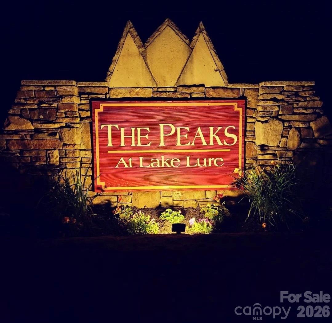 The Peaks at Lake Lure - Residential