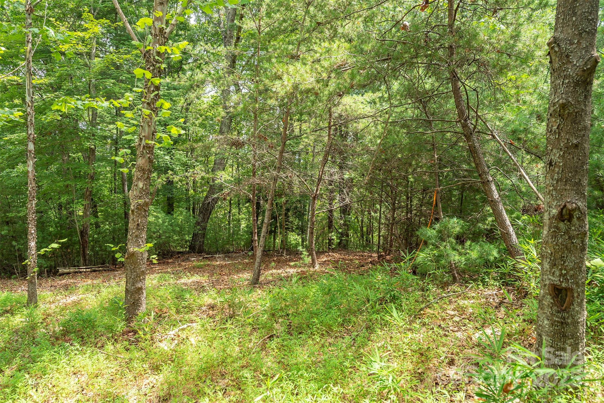 Black Forest - Land