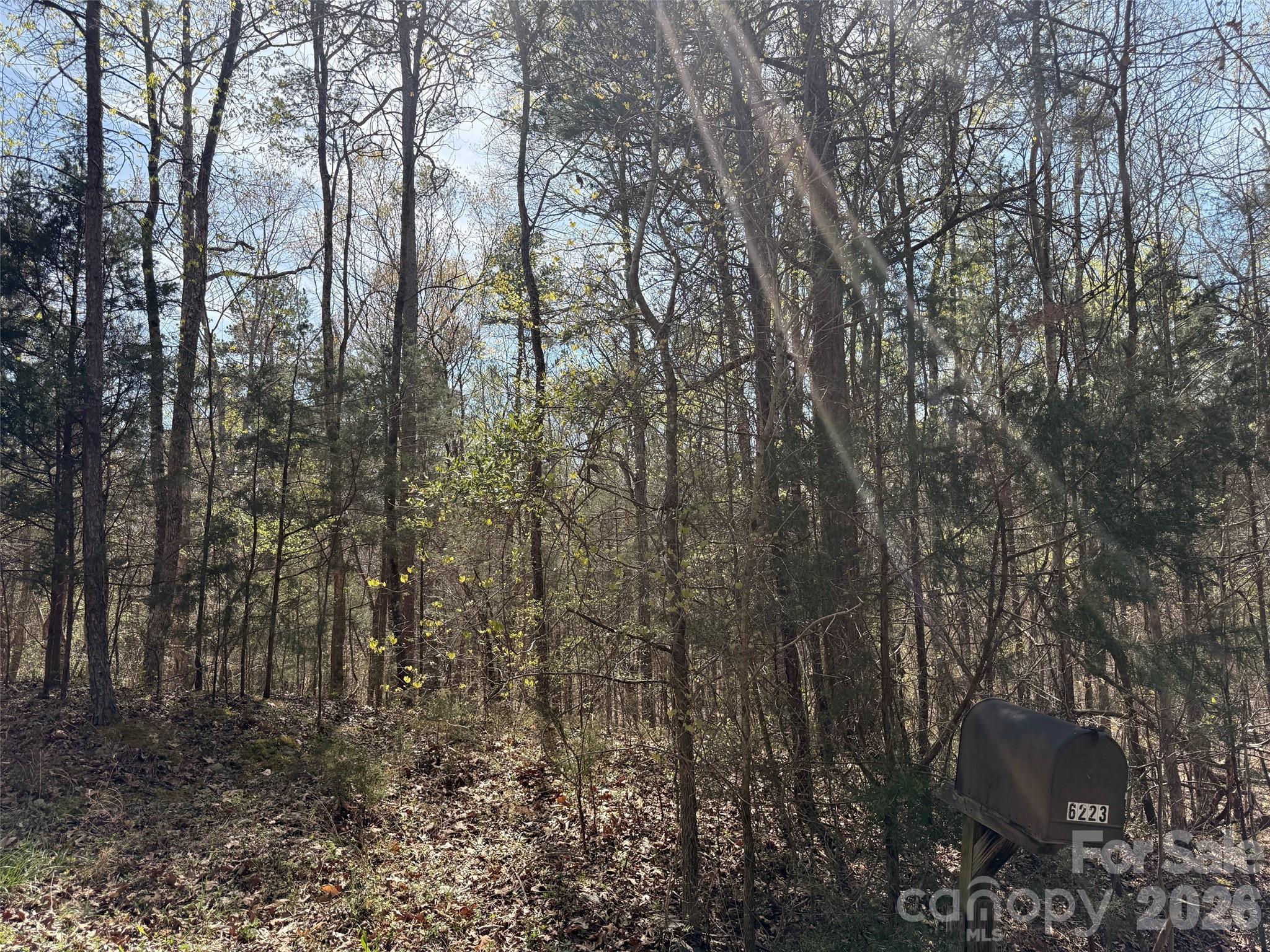 BACK ON THE MARKET! Recent soil and site evaluation completed. The report indicates the property is not suitable for a conventional, alternative, or innovative septic system under current North Carolina regulations. As a result, the property has been repriced to reflect this finding. This 1.8-acre wooded parcel offers potential for recreational use, investment, conservation, or other non-residential uses subject to buyer verification. Buyers are encouraged to review the soil report and conduct their own due diligence regarding intended use. Survey and soil evaluation available.