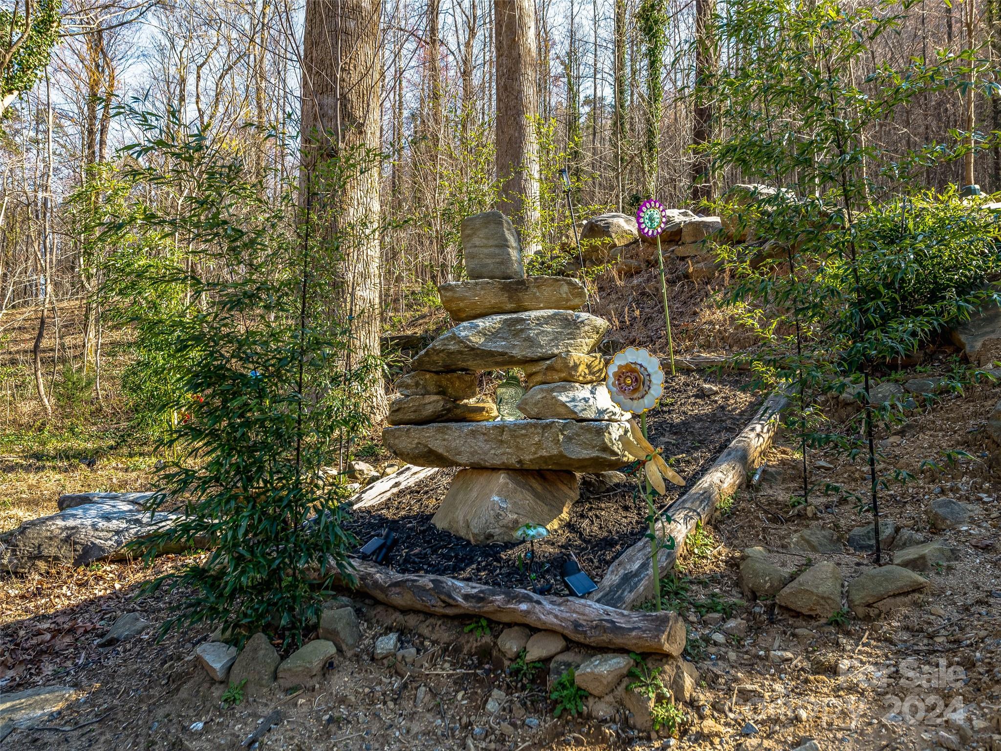 The Falls at Chimney Rock - Residential