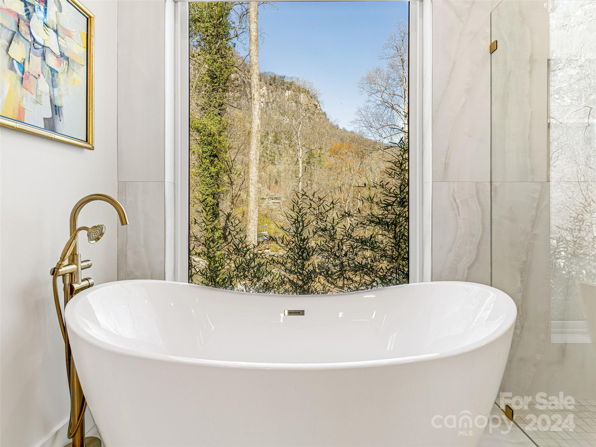 The Falls at Chimney Rock - Residential