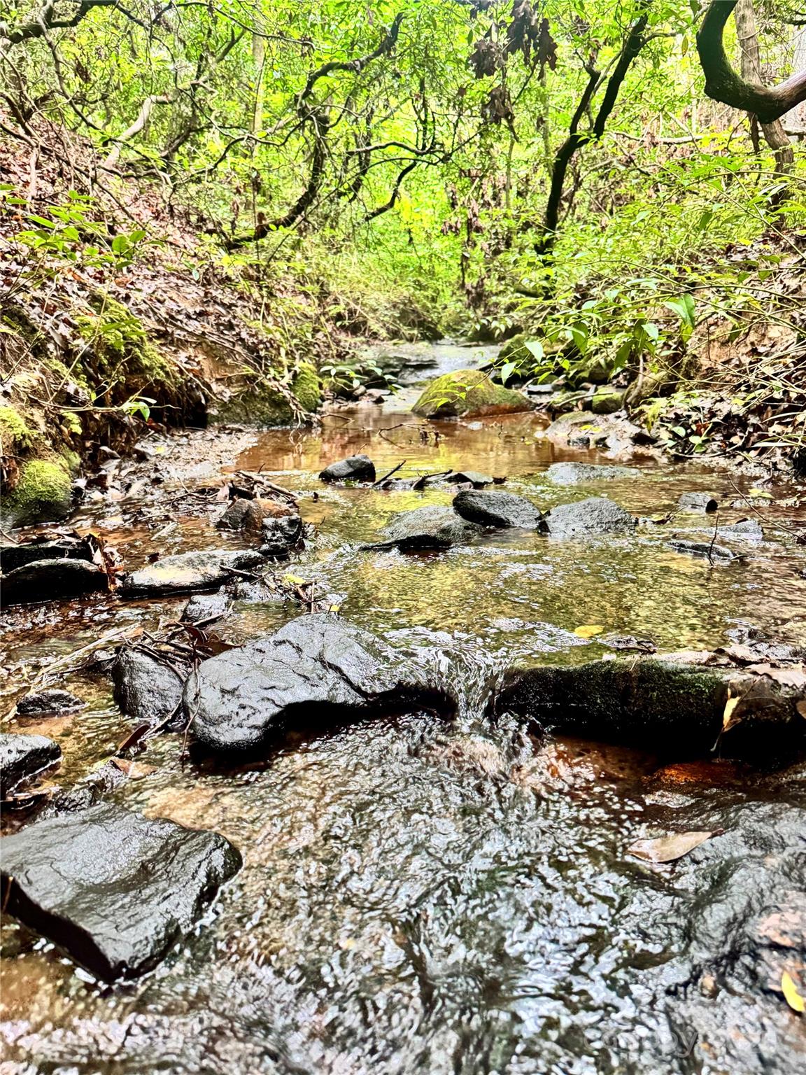 Unrestricted, 1.51 acre, wooded, mountain property featuring a picturesque brook with mossy rock cascades and multiple potential homesites with natural privacy! Tucked away on a private gravel road, this land offers a peaceful escape surrounded by towering hardwoods, rhododendron thickets and ample wildlife. The property also features an old road bed, terrific for an easy conversion into a driveway. Minutes from Lake Lure, Chimney Rock and the Blue Ridge Mountains. Come make this mountain retreat yours!