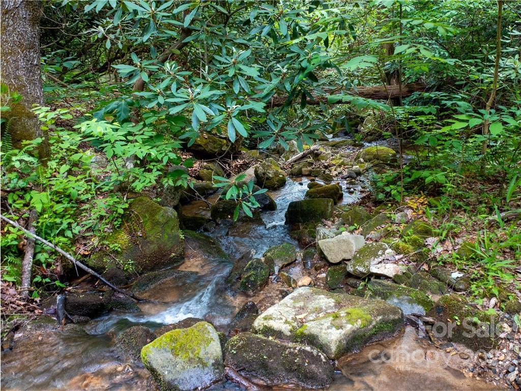 Brights Creek - Land