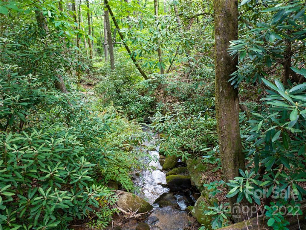 Brights Creek - Land