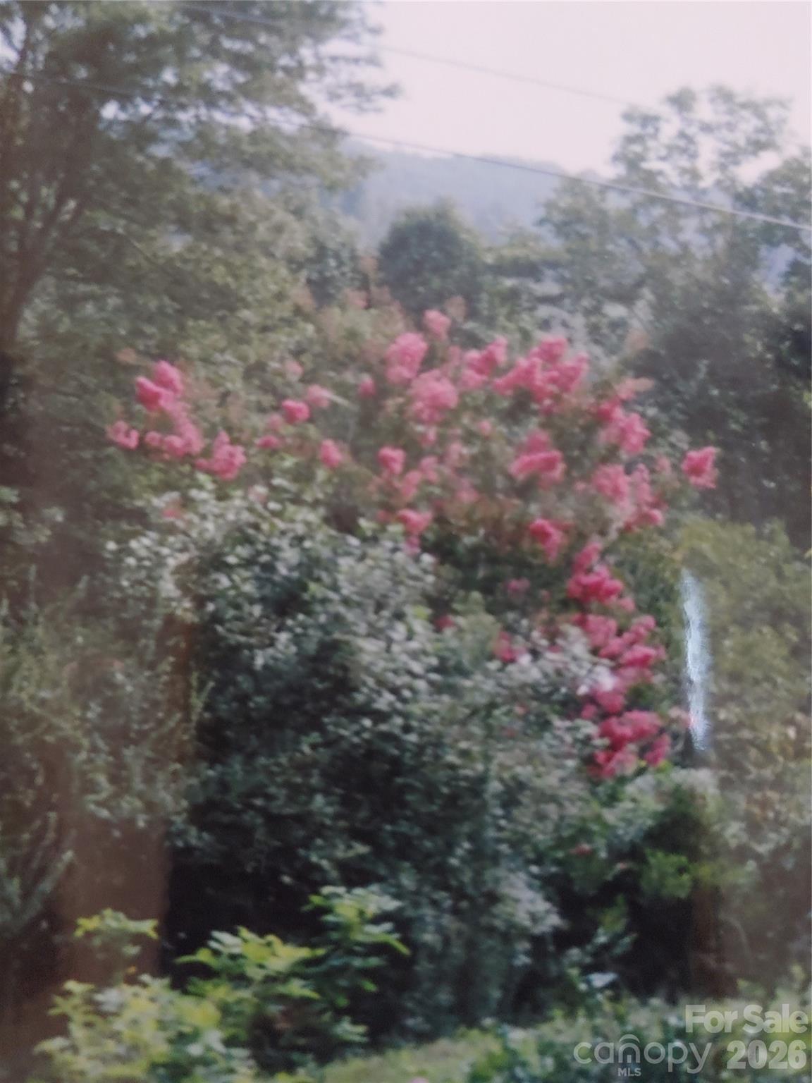 None - Residential