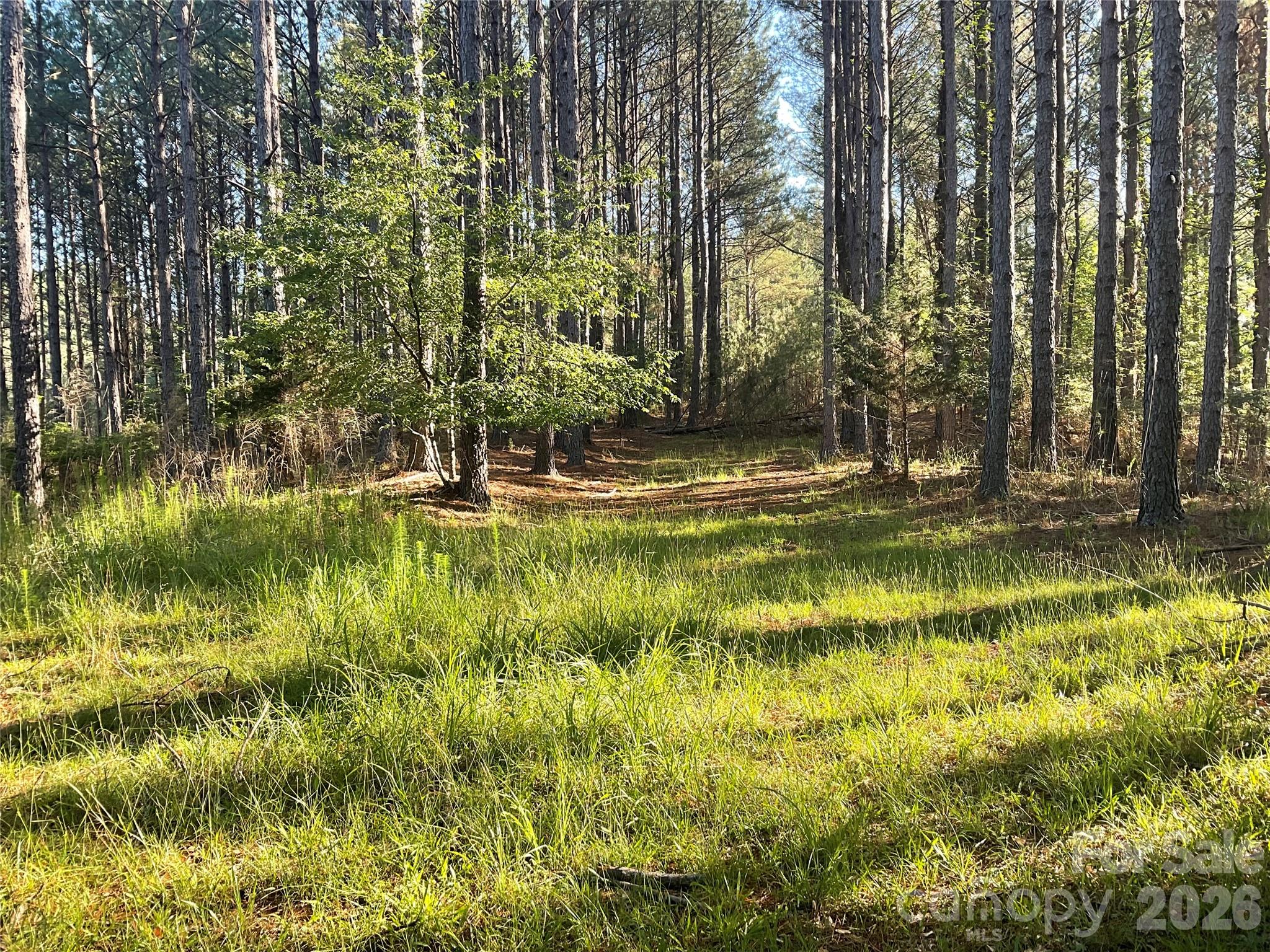 Broad River Highlands - Land