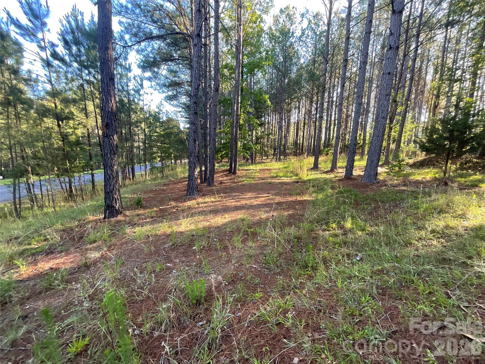 Broad River Highlands - Land
