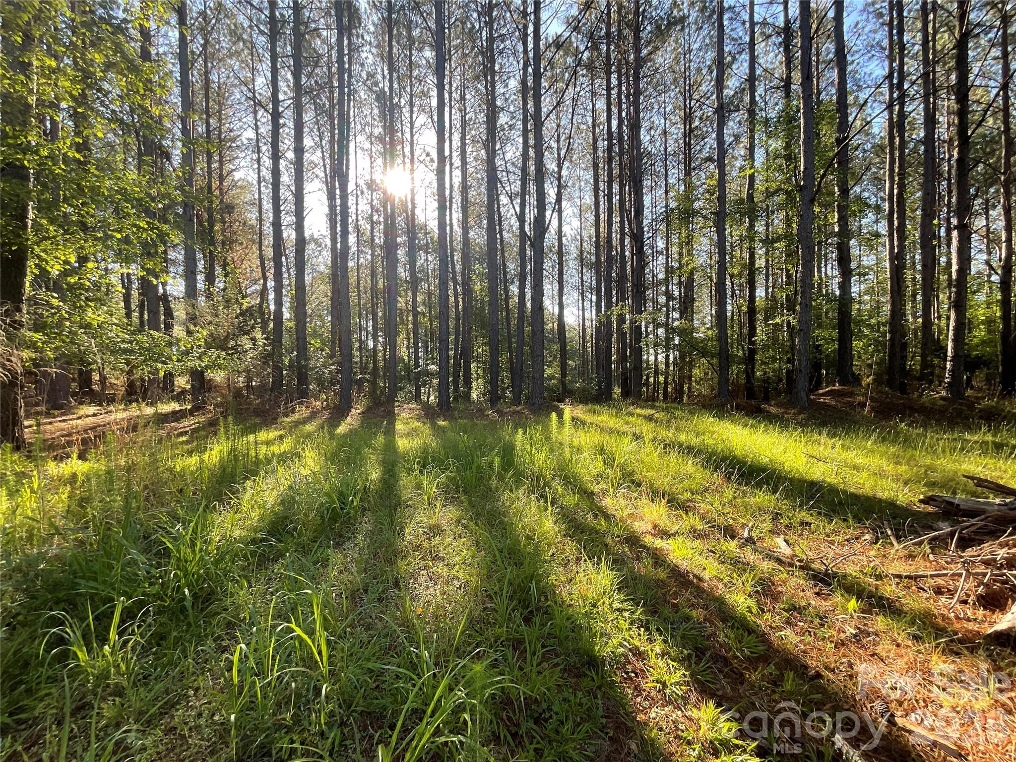 Broad River Highlands - Land