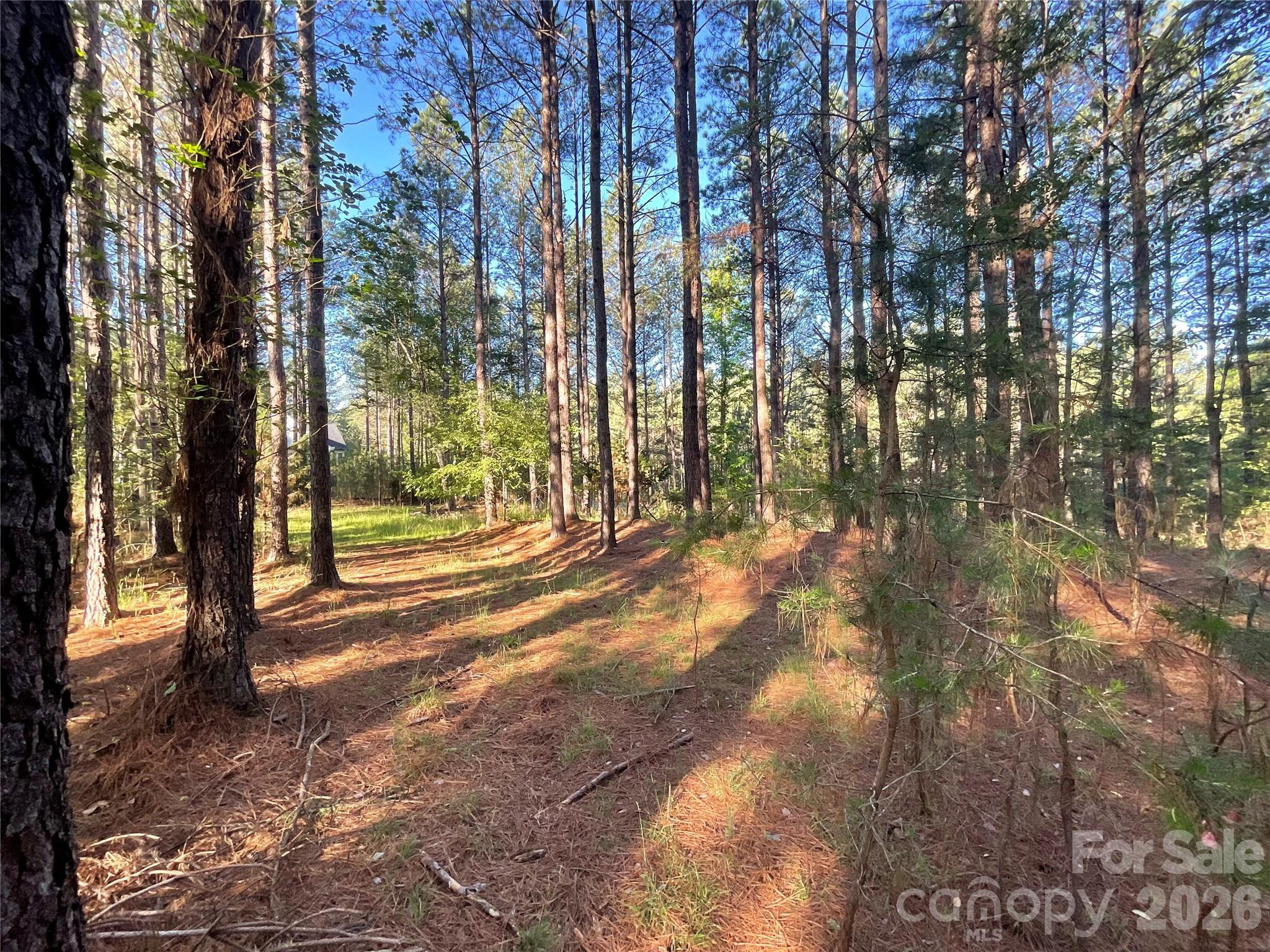 Broad River Highlands - Land