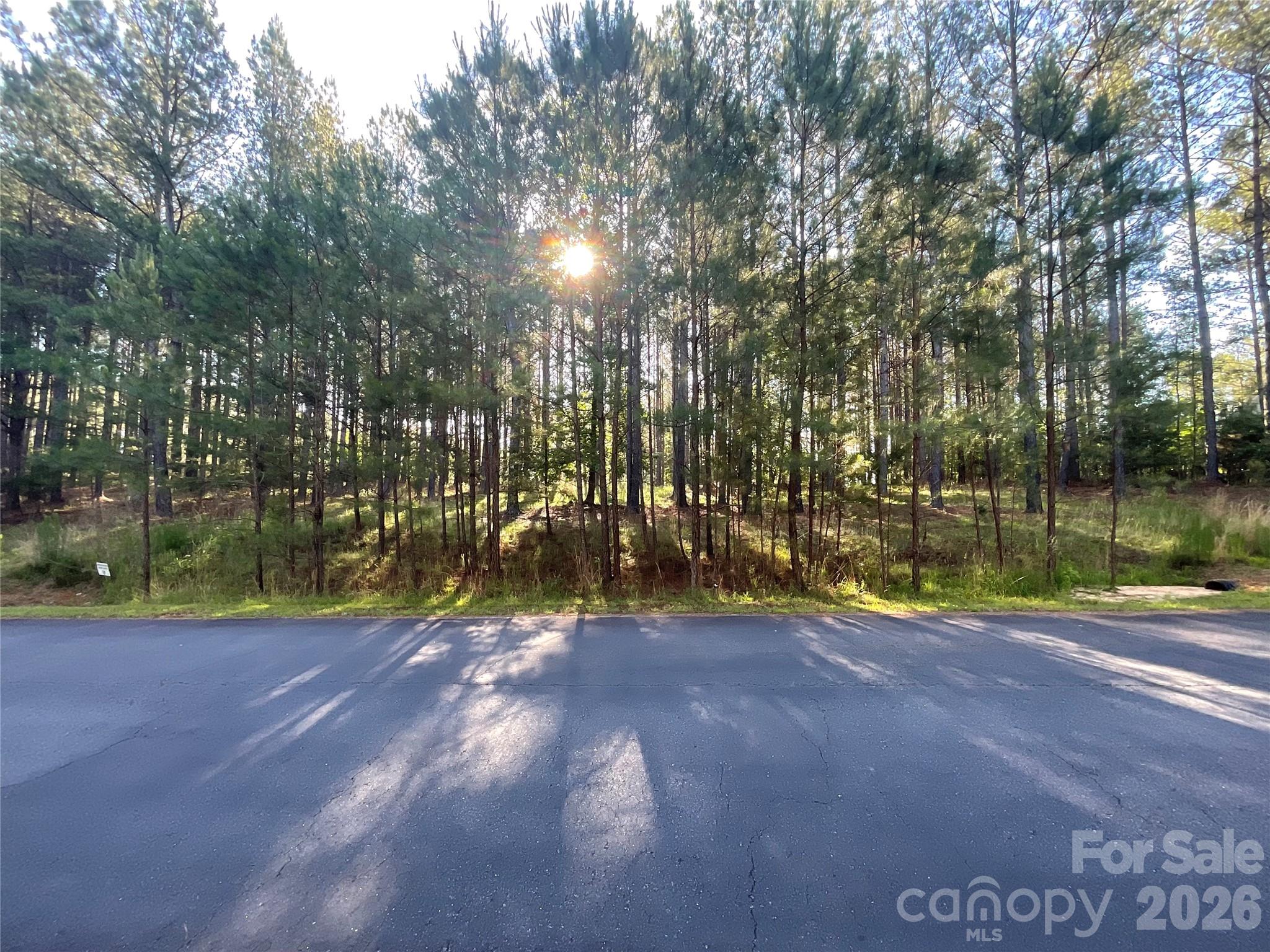 Broad River Highlands - Land