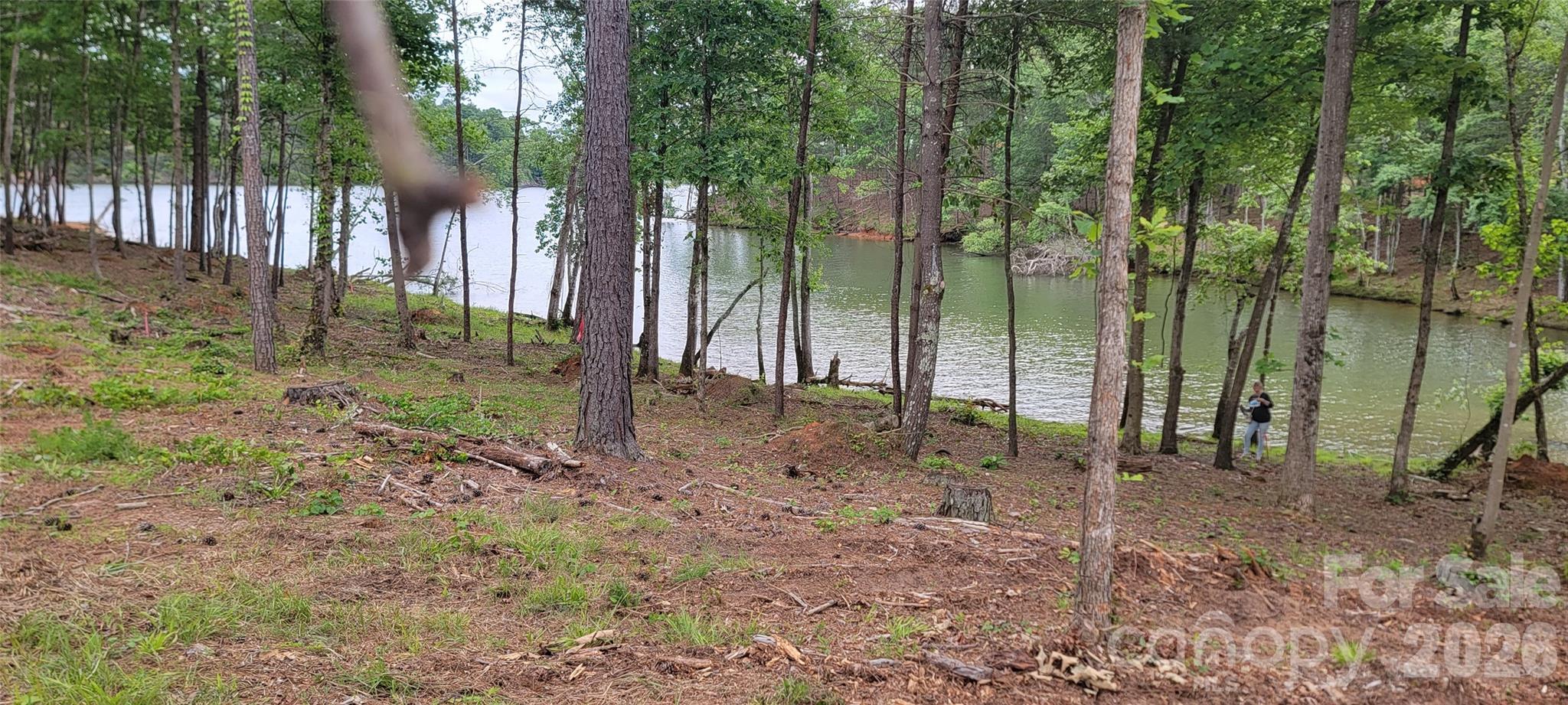 Lakeside Reserve - Land
