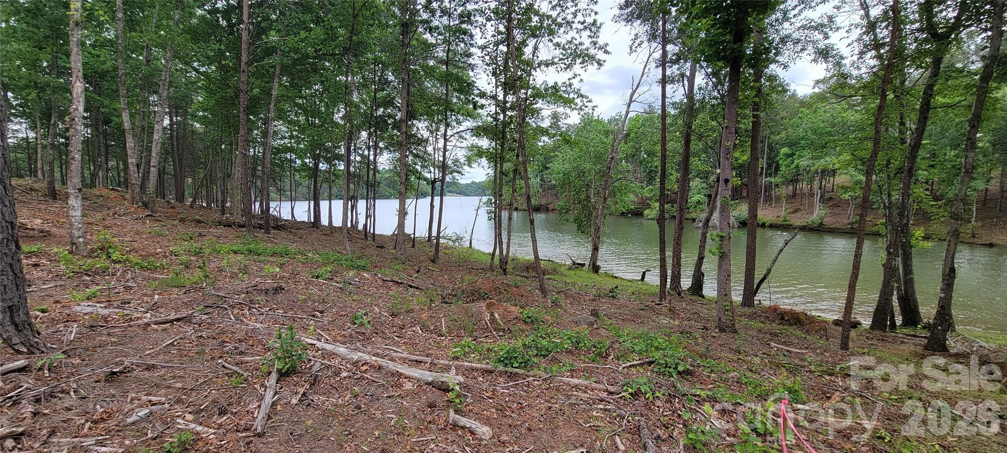 Lakeside Reserve - Land