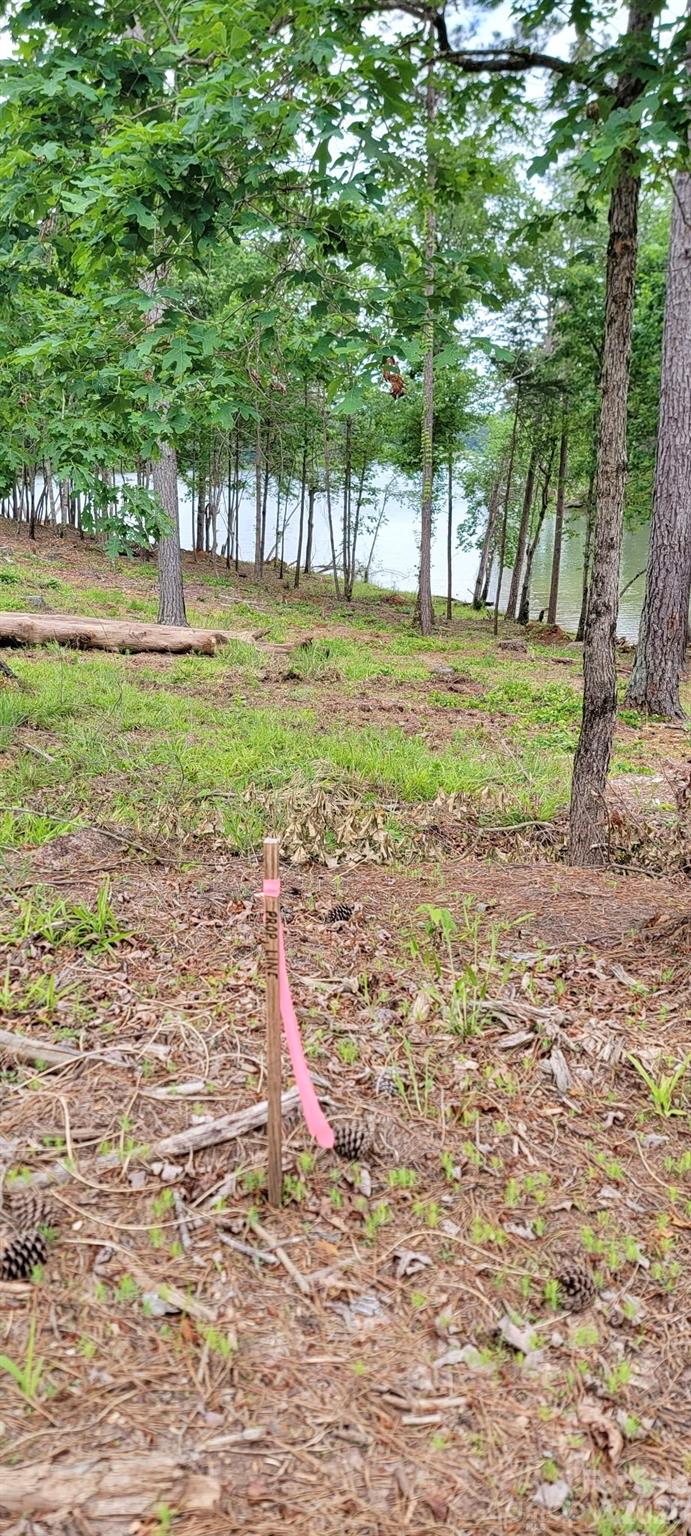 Lakeside Reserve - Land