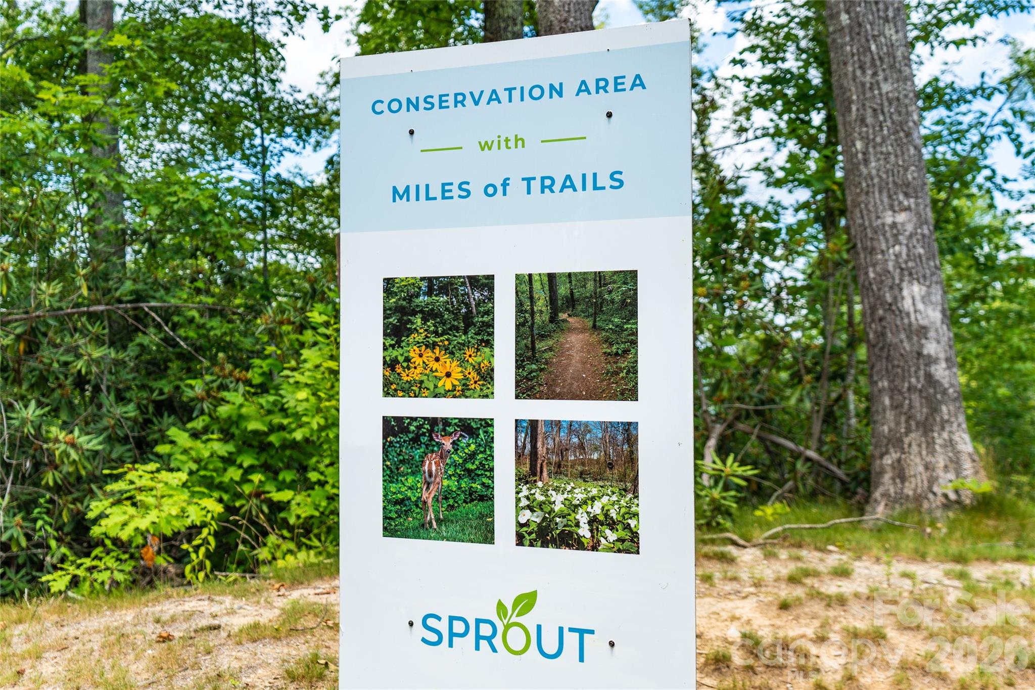 Sprout Mountain - Land